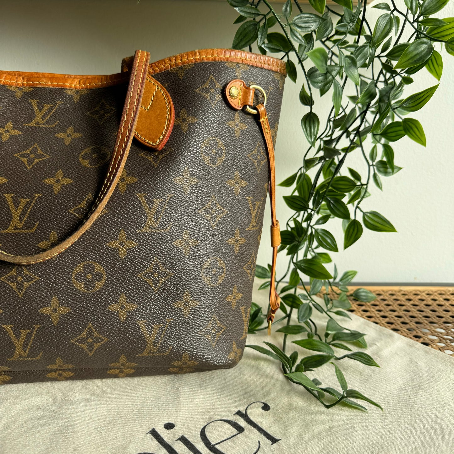 Louis Vuitton Neverfull PM