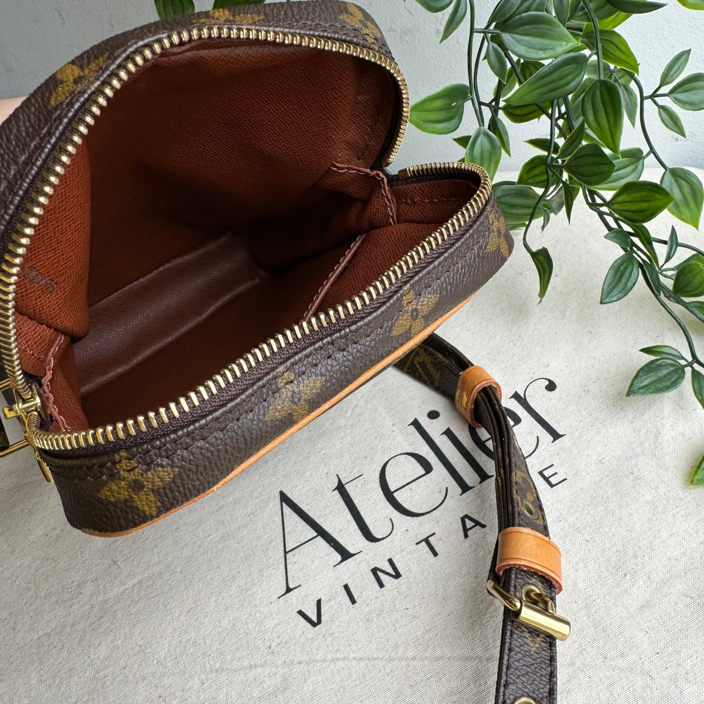 Louis Vuitton 2000 Danube Camera Bag