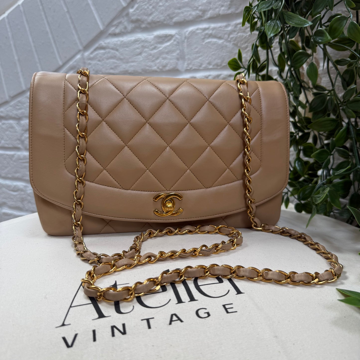 Chanel 1993 Rare Dark Beige Diana Medium