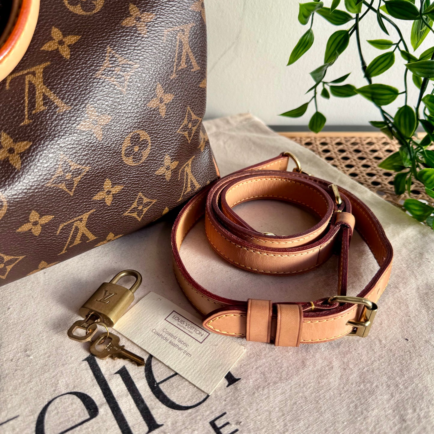 Louis Vuitton Speedy 30 Bandoulier