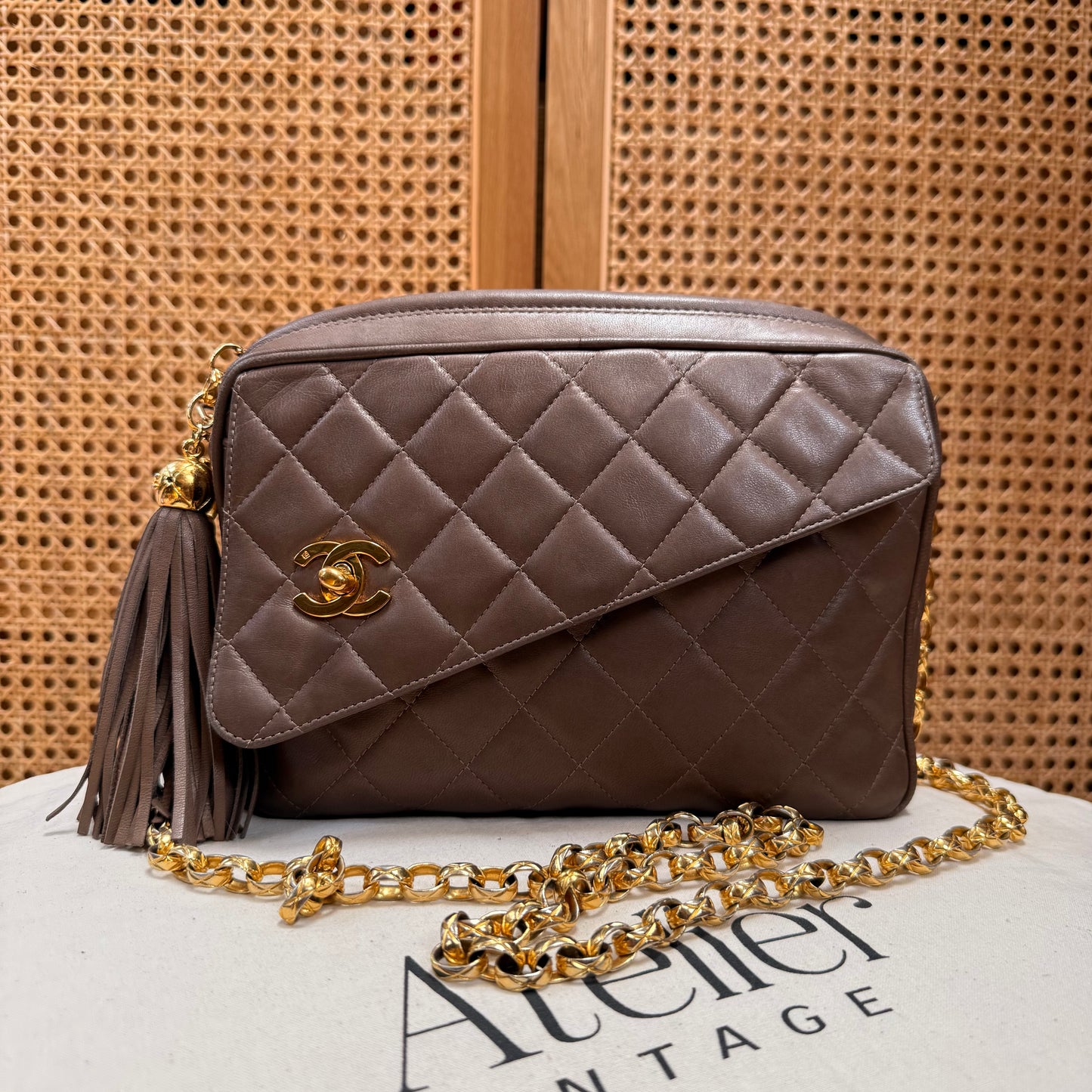 Chanel 1991 Rare CC Camera Bag Bijoux Strap