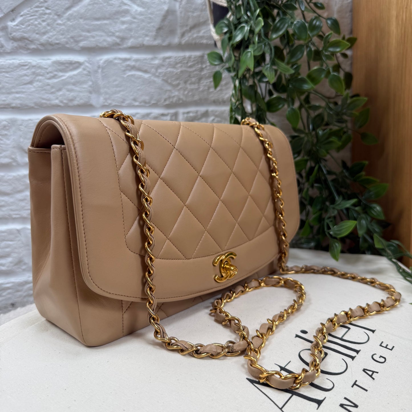 Chanel 1993 Rare Dark Beige Diana Medium