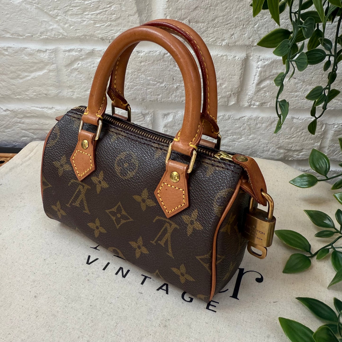 Louis Vuitton Speedy Nano with Strap & Padlock