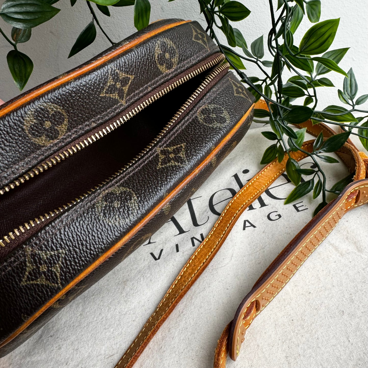 Louis Vuitton 2002 Blois