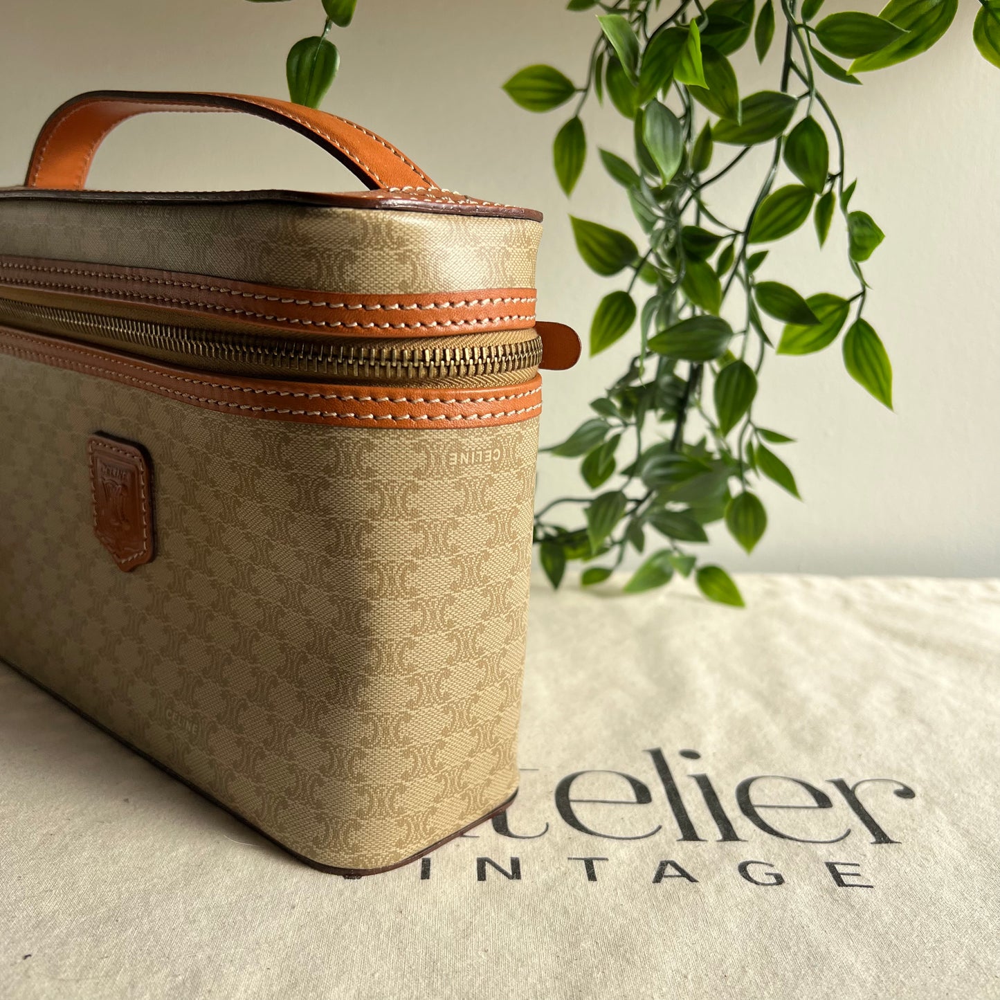 Celine Monogram Print Small Carry Case
