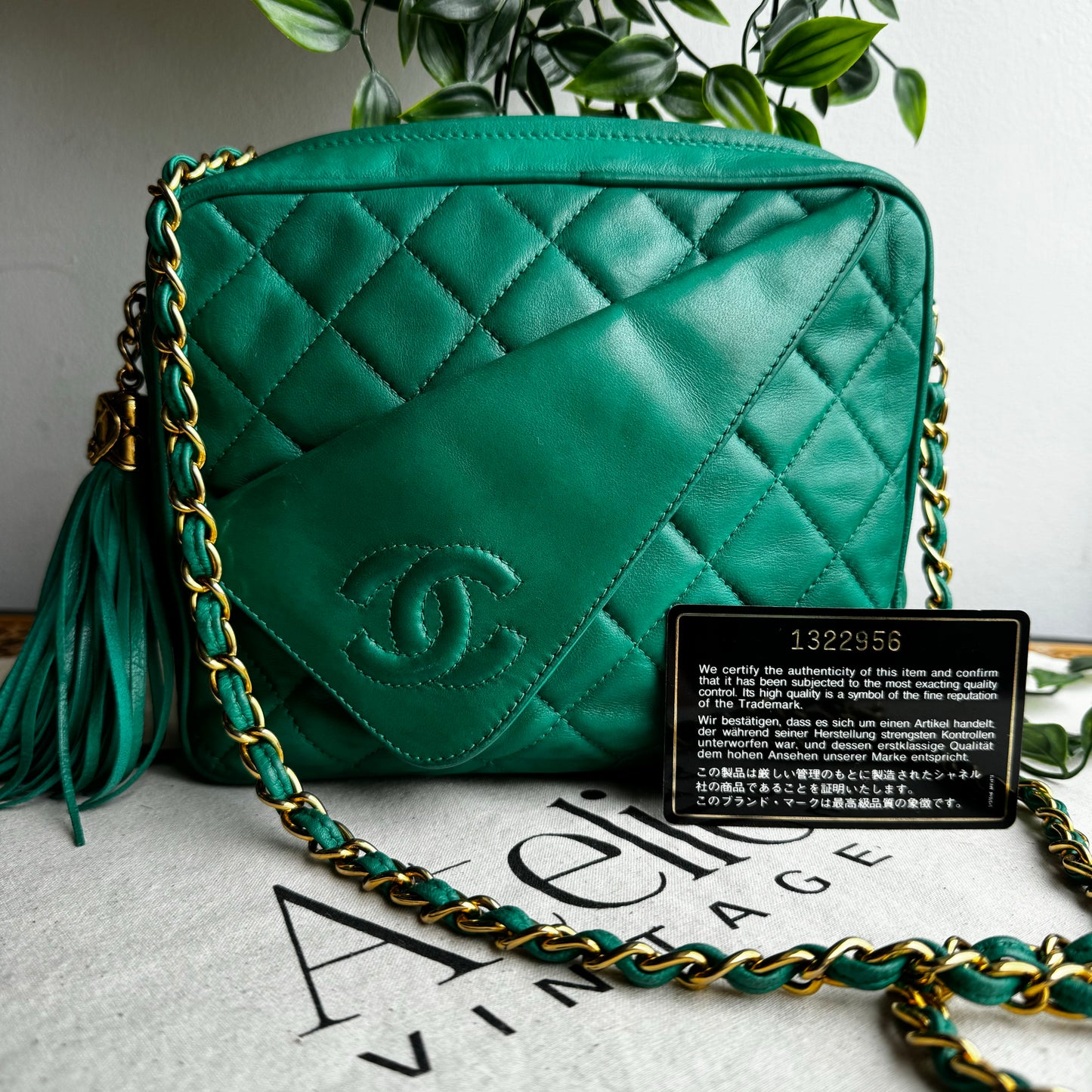 Chanel 1989 Vintage Tassel Camera Bag