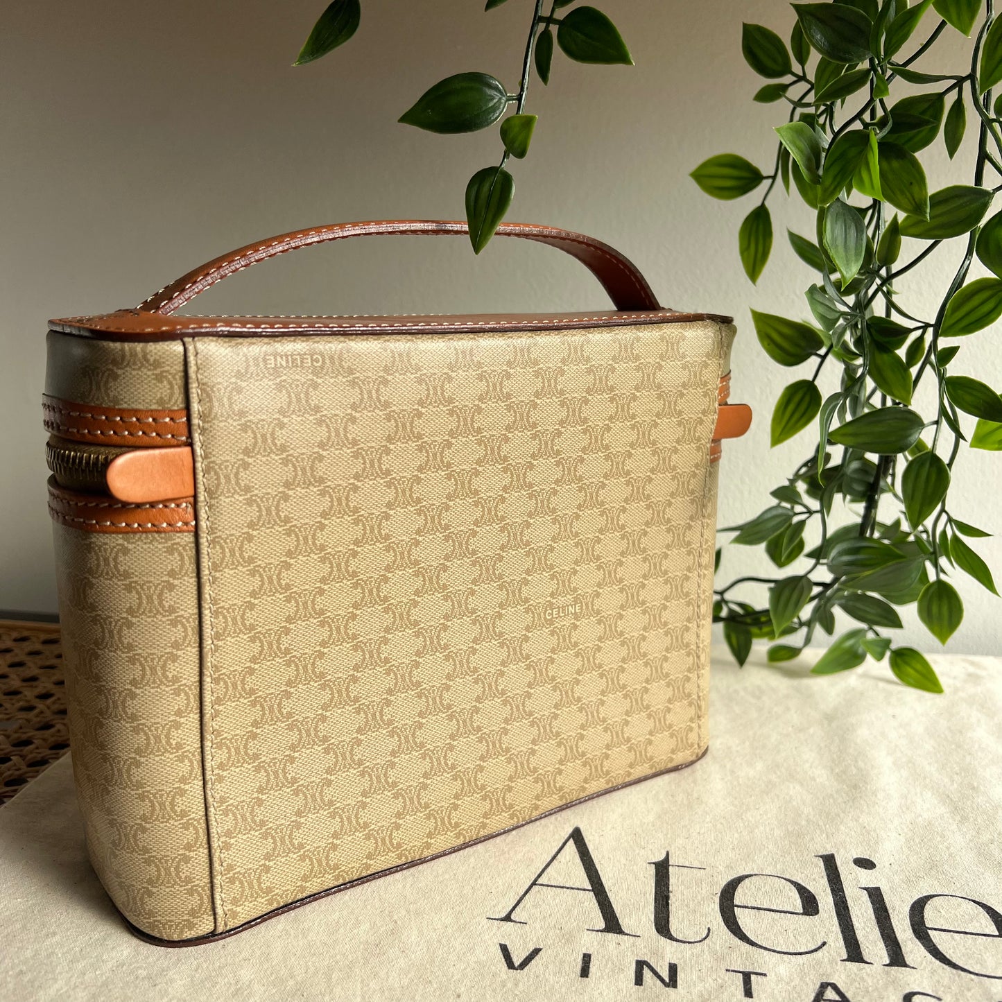 Celine Monogram Print Small Carry Case