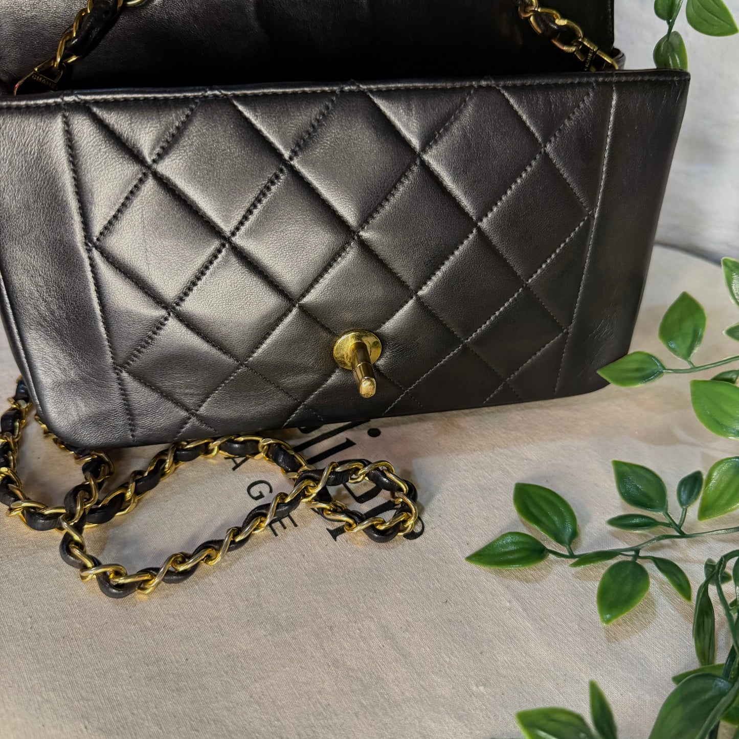 Chanel 1989 Vintage Classic Diana Small