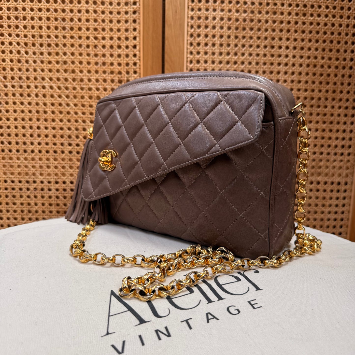 Chanel 1991 Rare CC Camera Bag Bijoux Strap