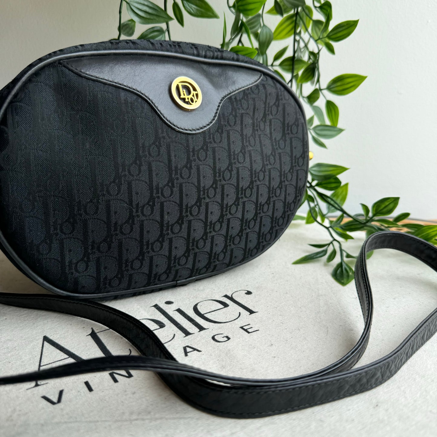 Dior 1980s Trotter Canvas Bag