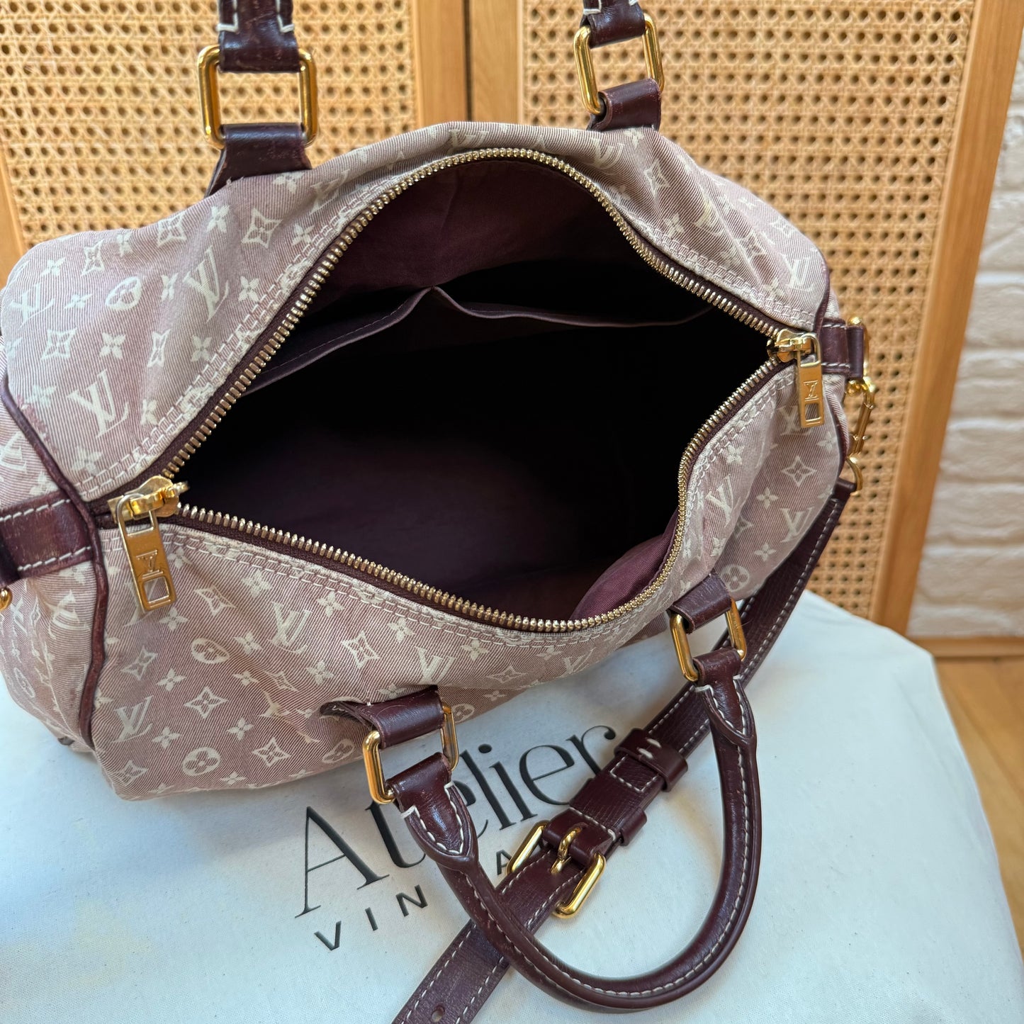 Louis Vuitton Rare 2010 Speedy 30 Bandoulier Idylle