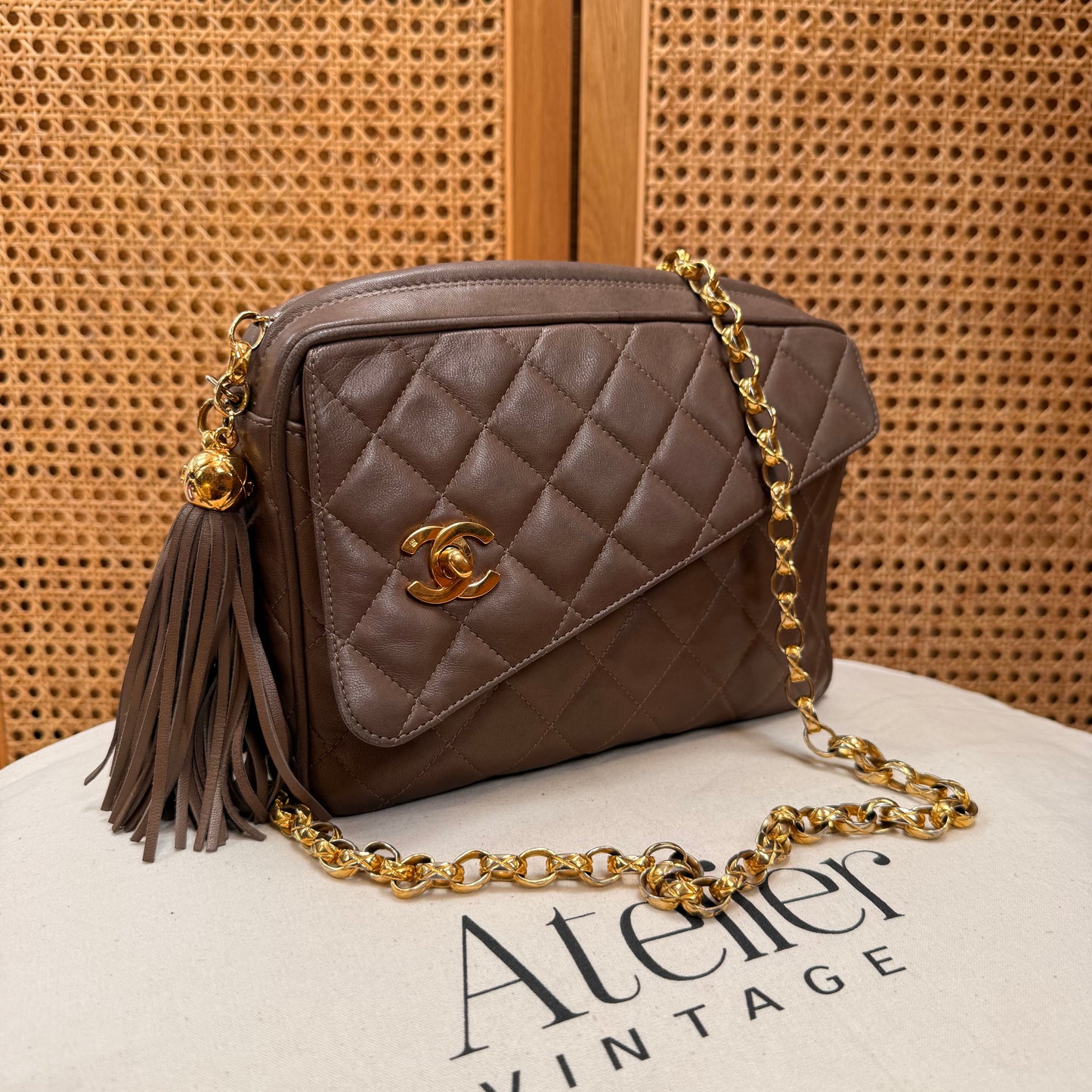 Chanel 1991 Rare CC Camera Bag Bijoux Strap