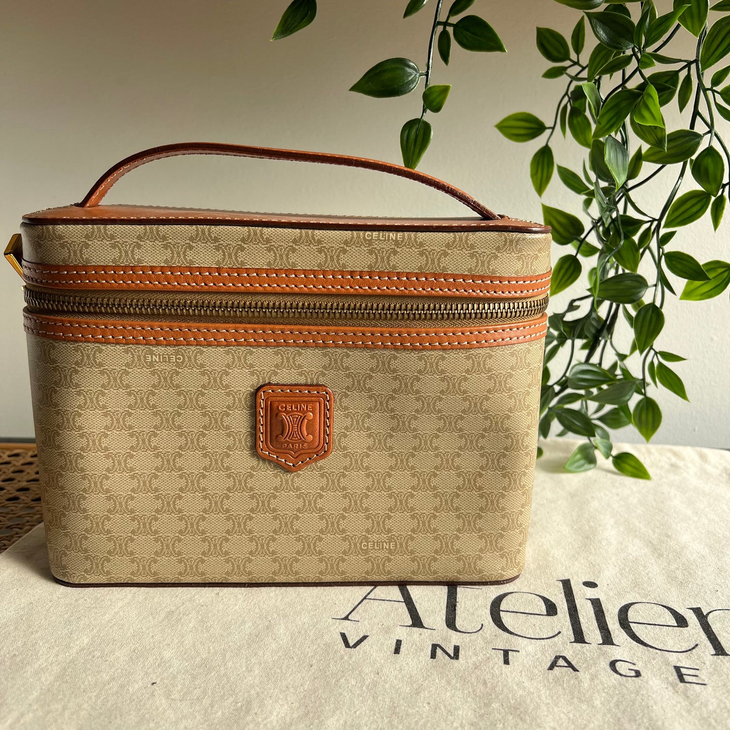 Celine Monogram Print Small Carry Case