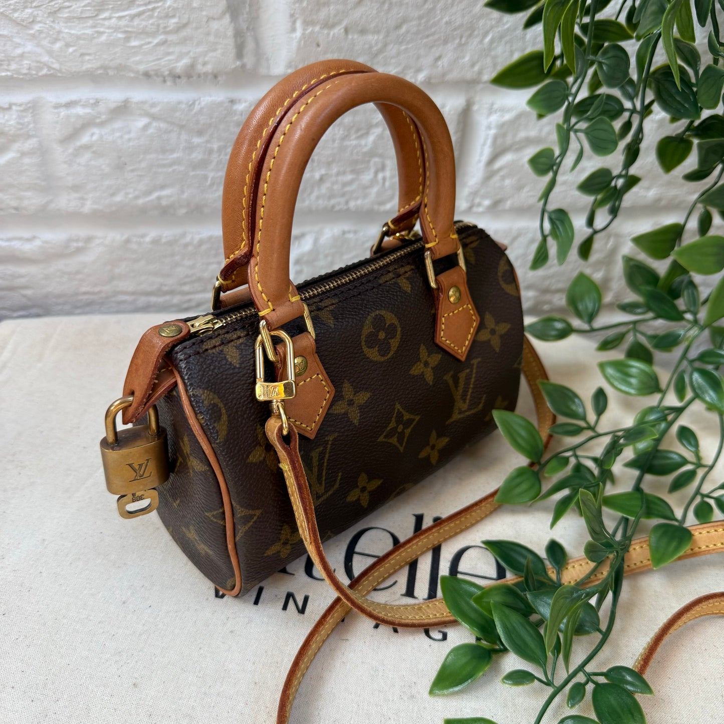 Louis Vuitton Speedy Nano with Strap & Padlock