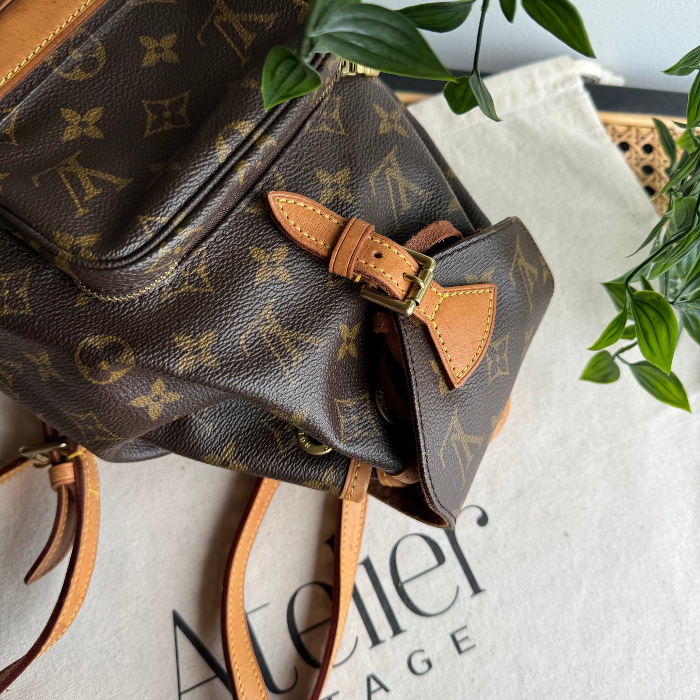 Louis Vuitton Montsouris Back Pack PM