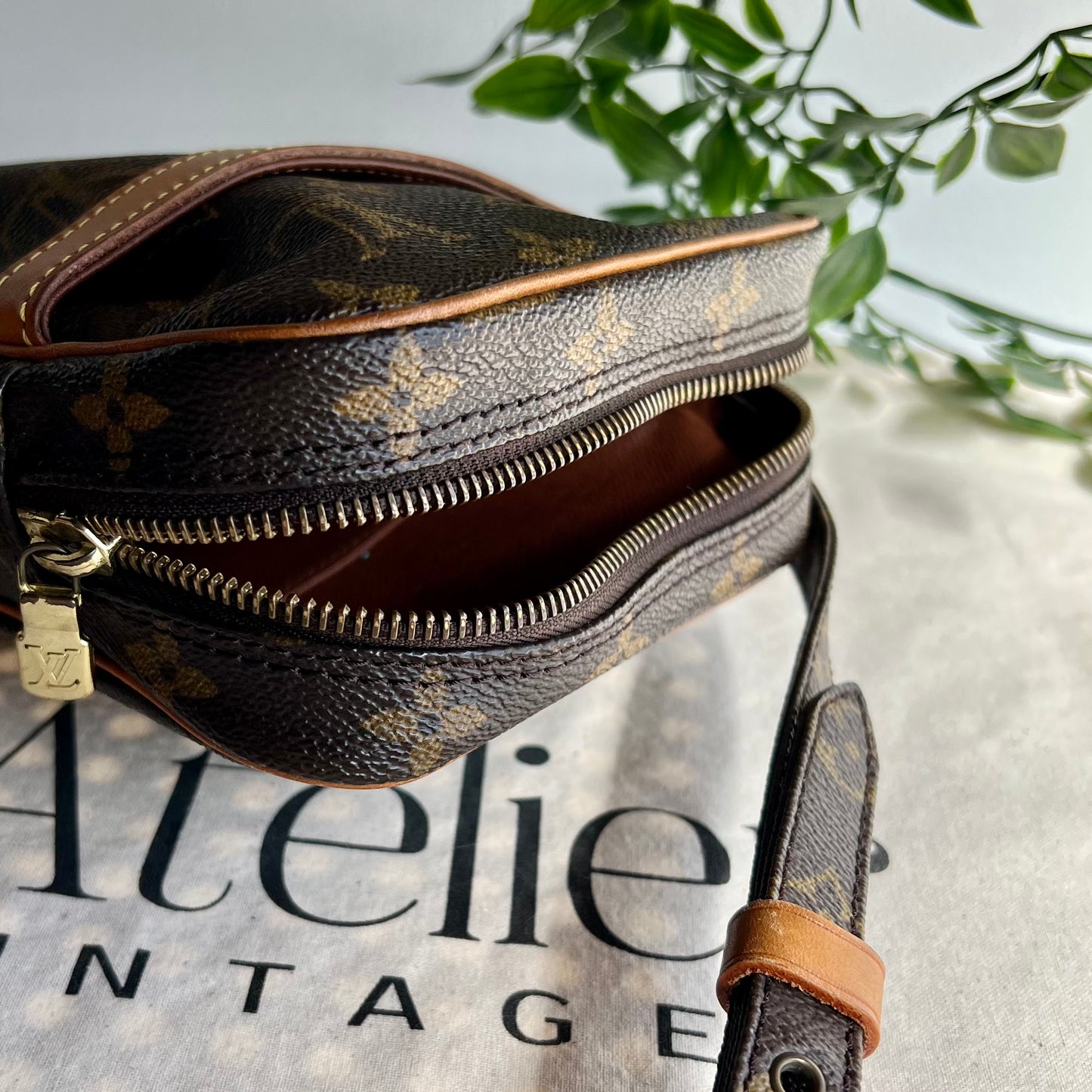 Louis Vuitton Danube Camera Bag