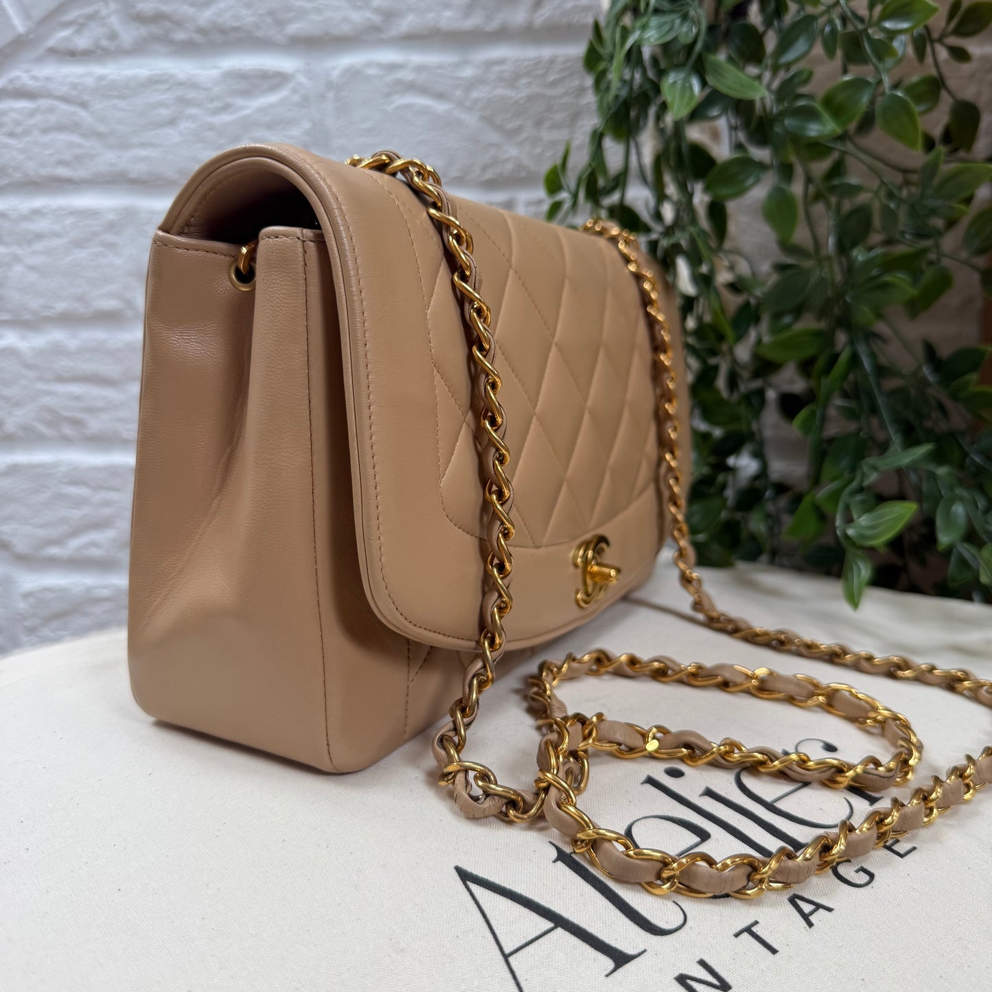 Chanel 1993 Rare Dark Beige Diana Medium