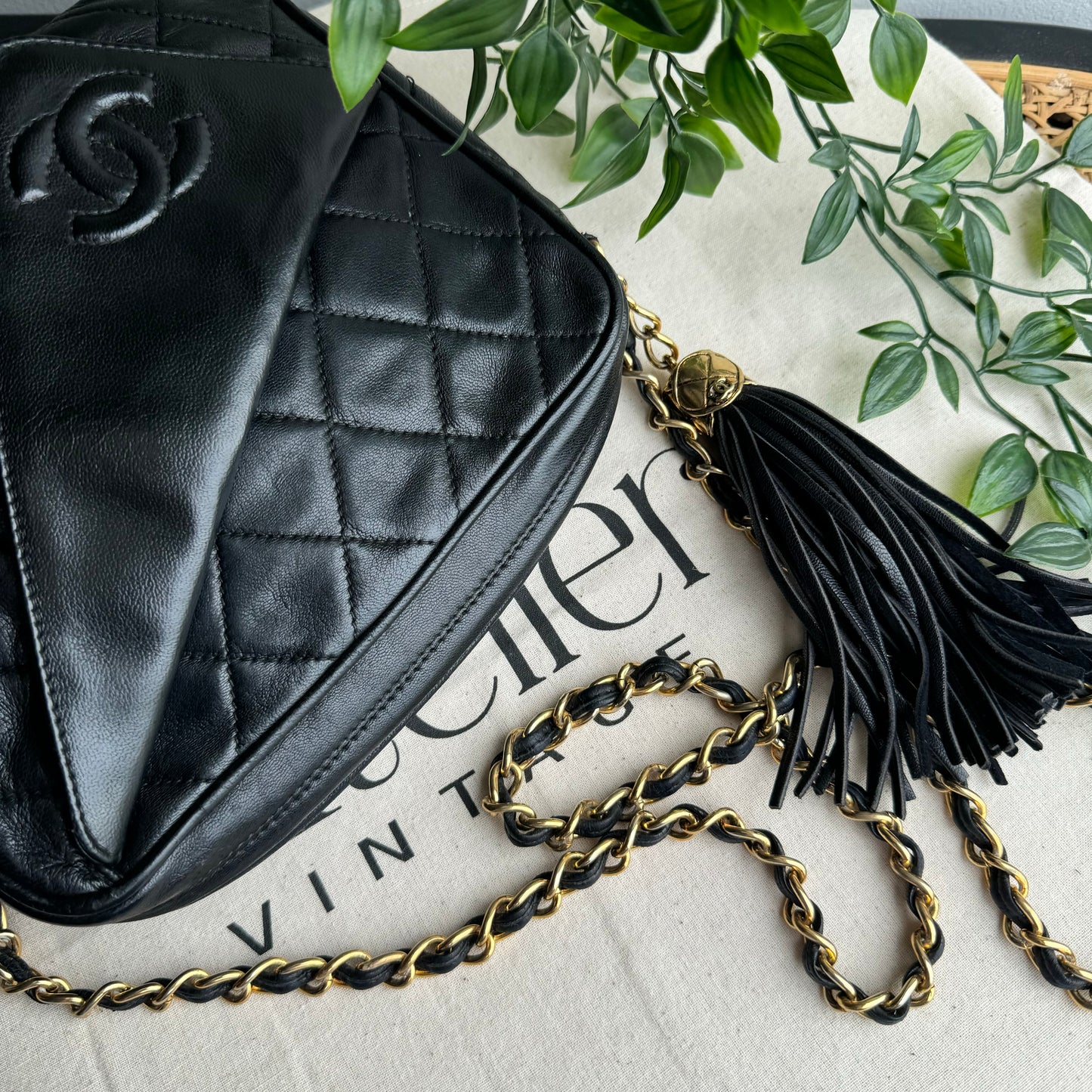 Chanel 1989 Vintage Tassel Camera Bag