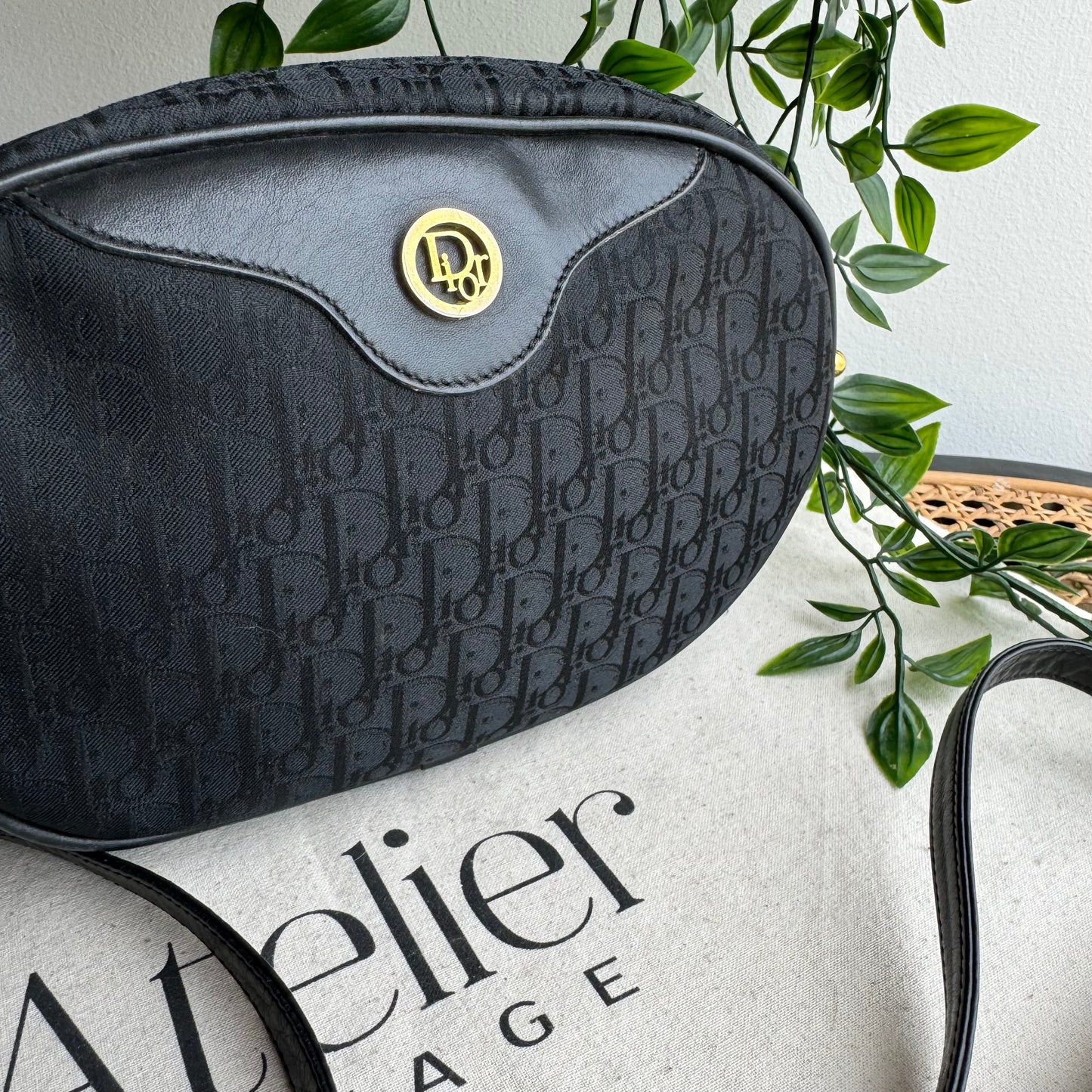 Dior 1980s Trotter Canvas Bag