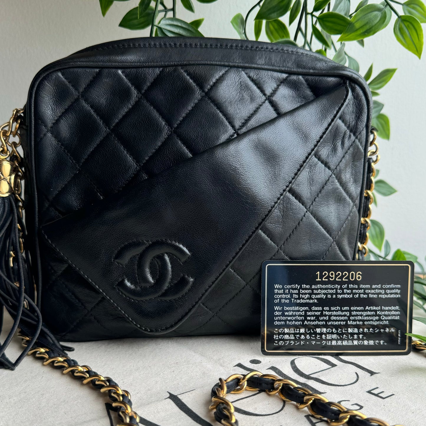 Chanel 1989 Vintage Tassel Camera Bag
