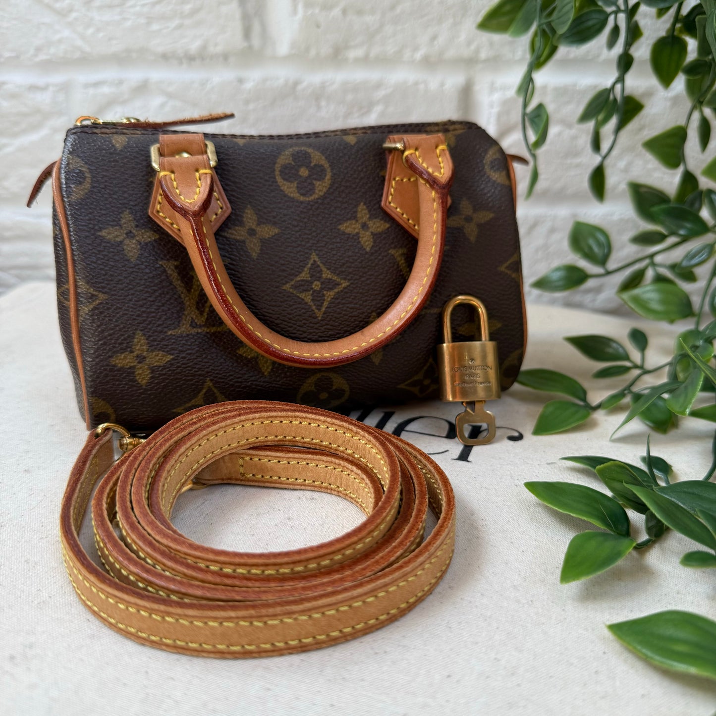Louis Vuitton Speedy Nano with Strap & Padlock