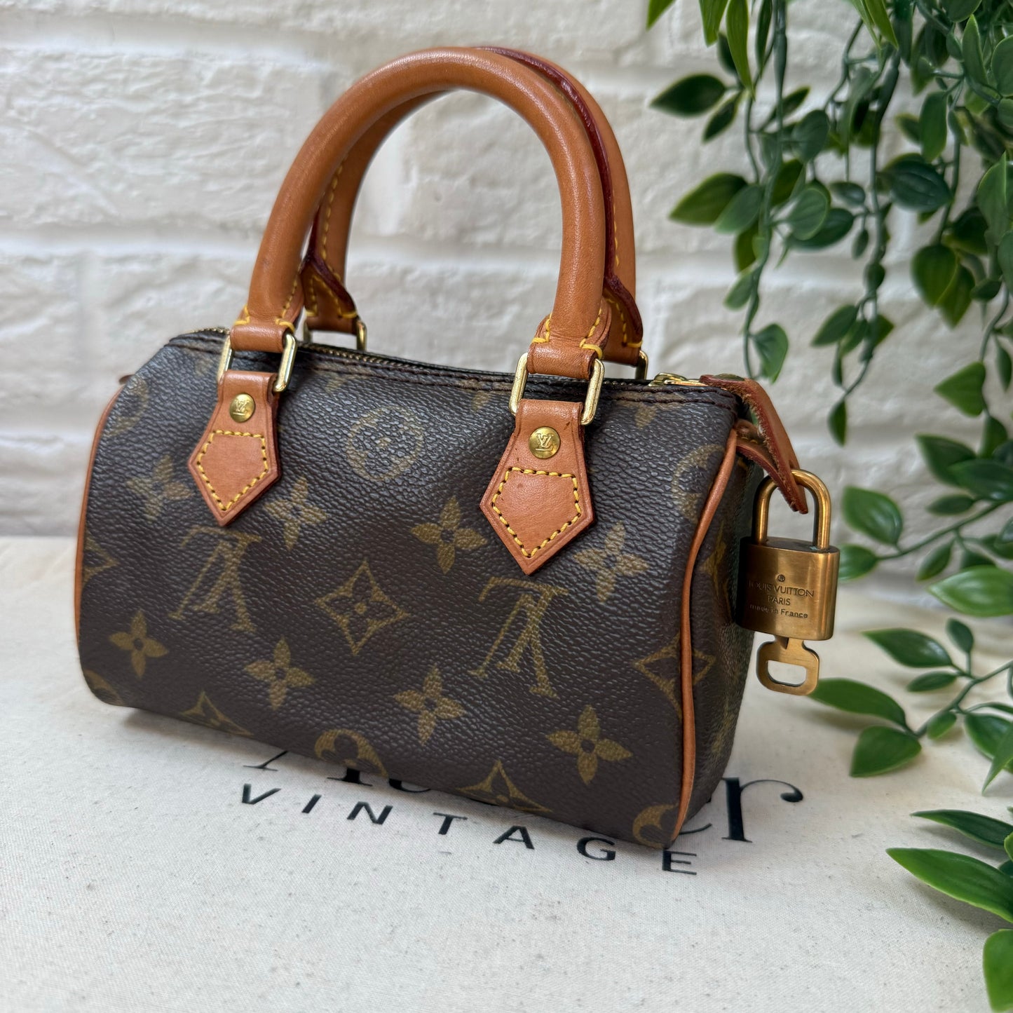 Louis Vuitton Speedy Nano with Strap & Padlock