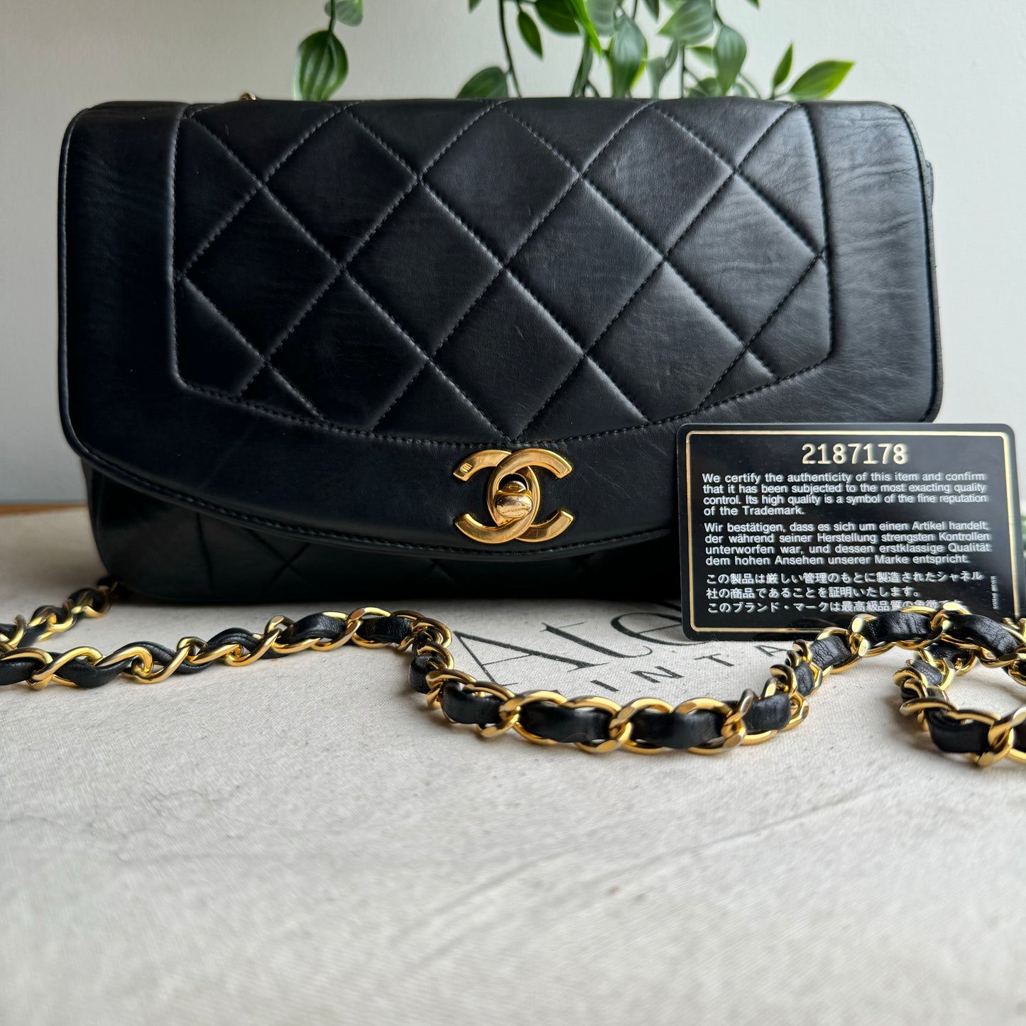 Chanel 1991 Vintage Classic Diana Small