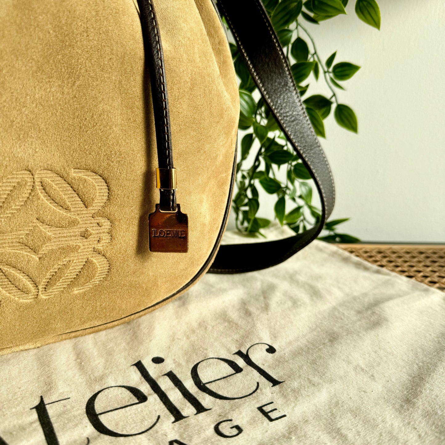 Loewe Cross Body Bucket Bag
