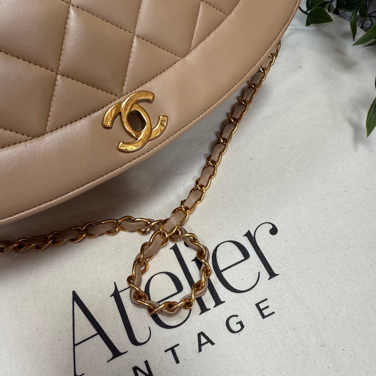 Chanel 1993 Rare Dark Beige Diana Medium