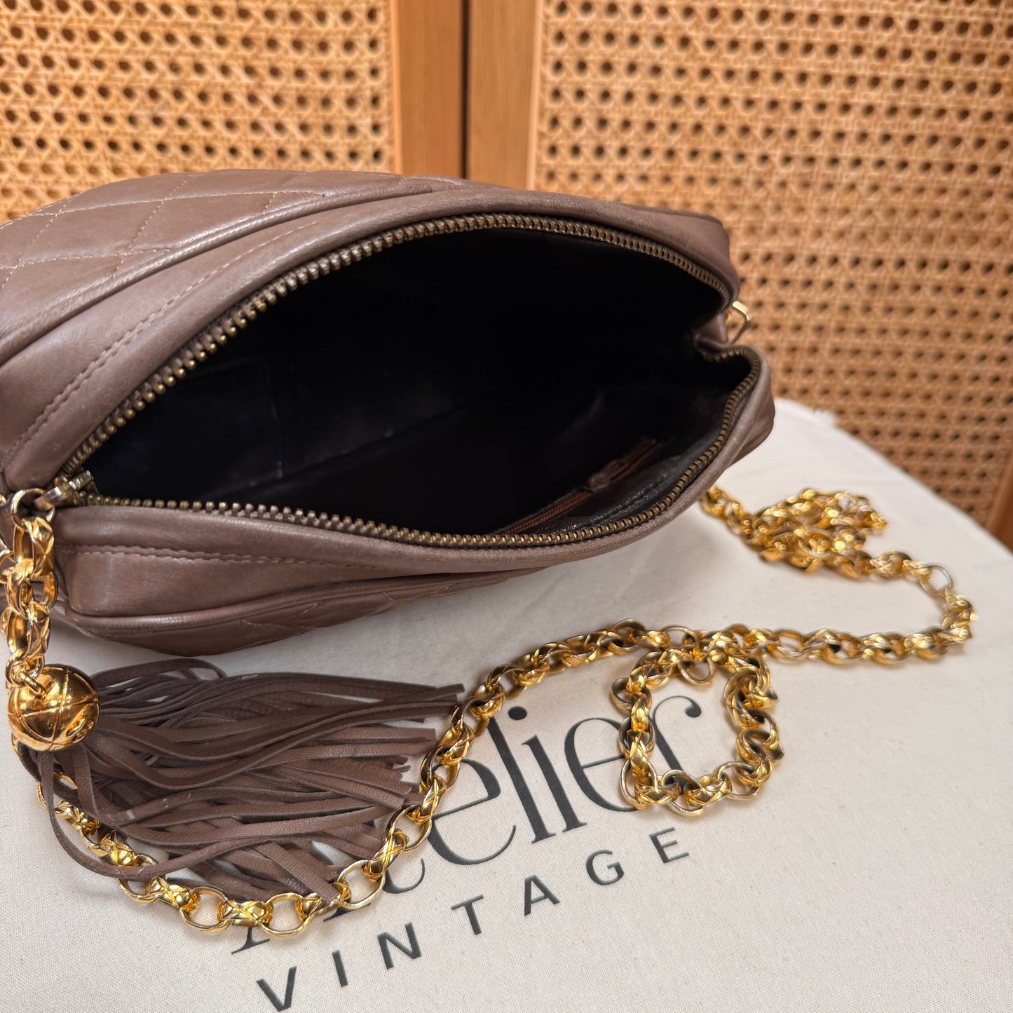 Chanel 1991 Rare CC Camera Bag Bijoux Strap