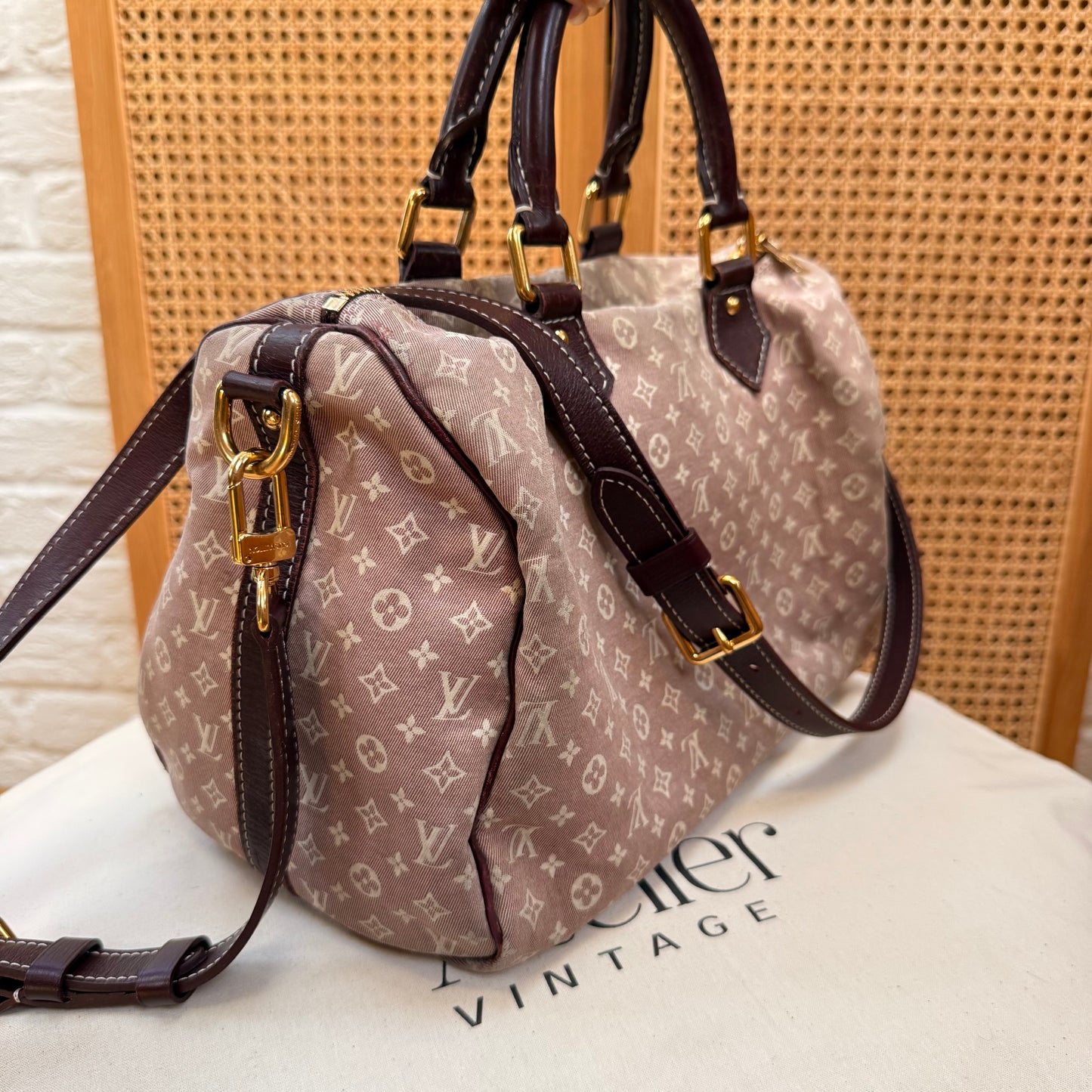Louis Vuitton Rare 2010 Speedy 30 Bandoulier Idylle