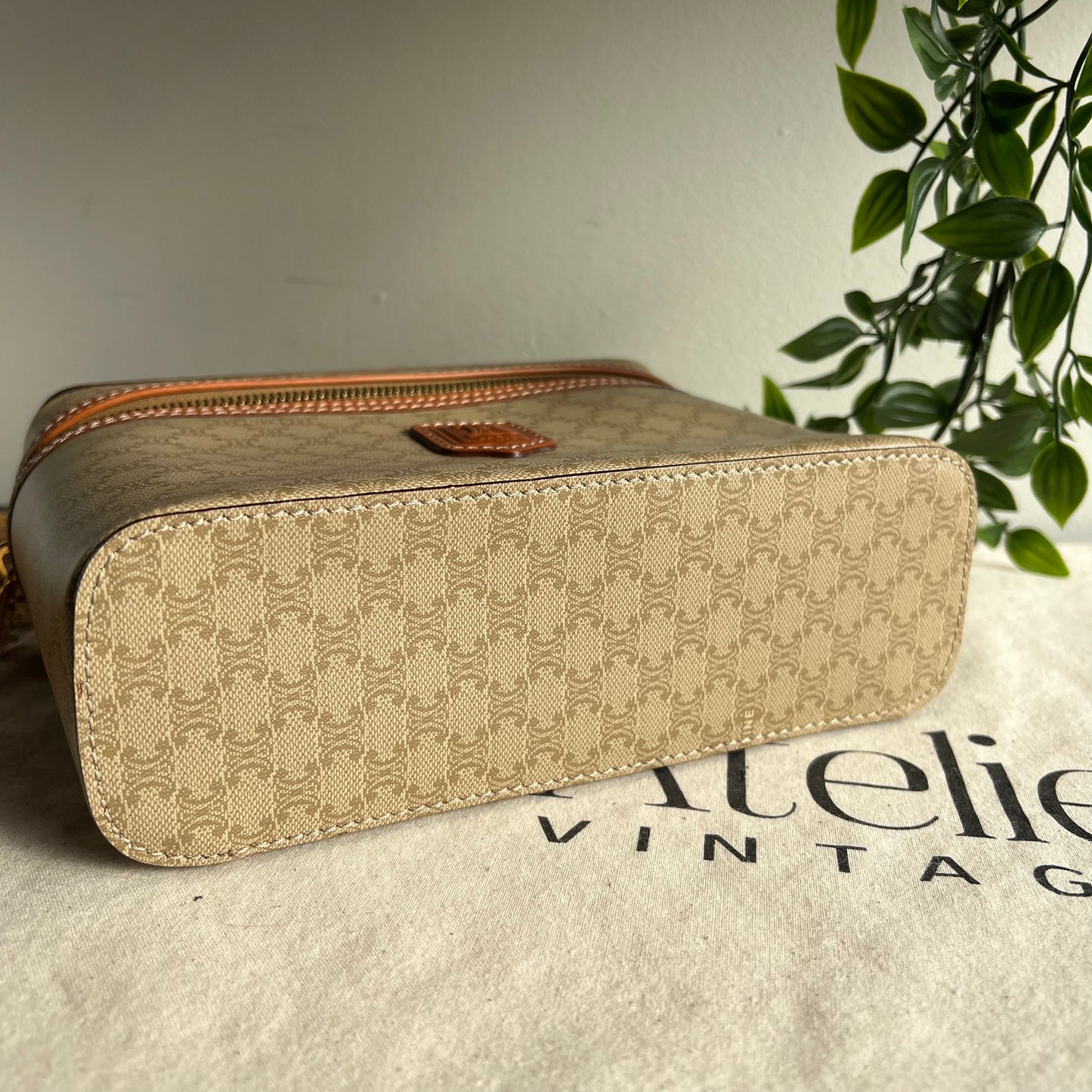 Celine Monogram Print Small Carry Case