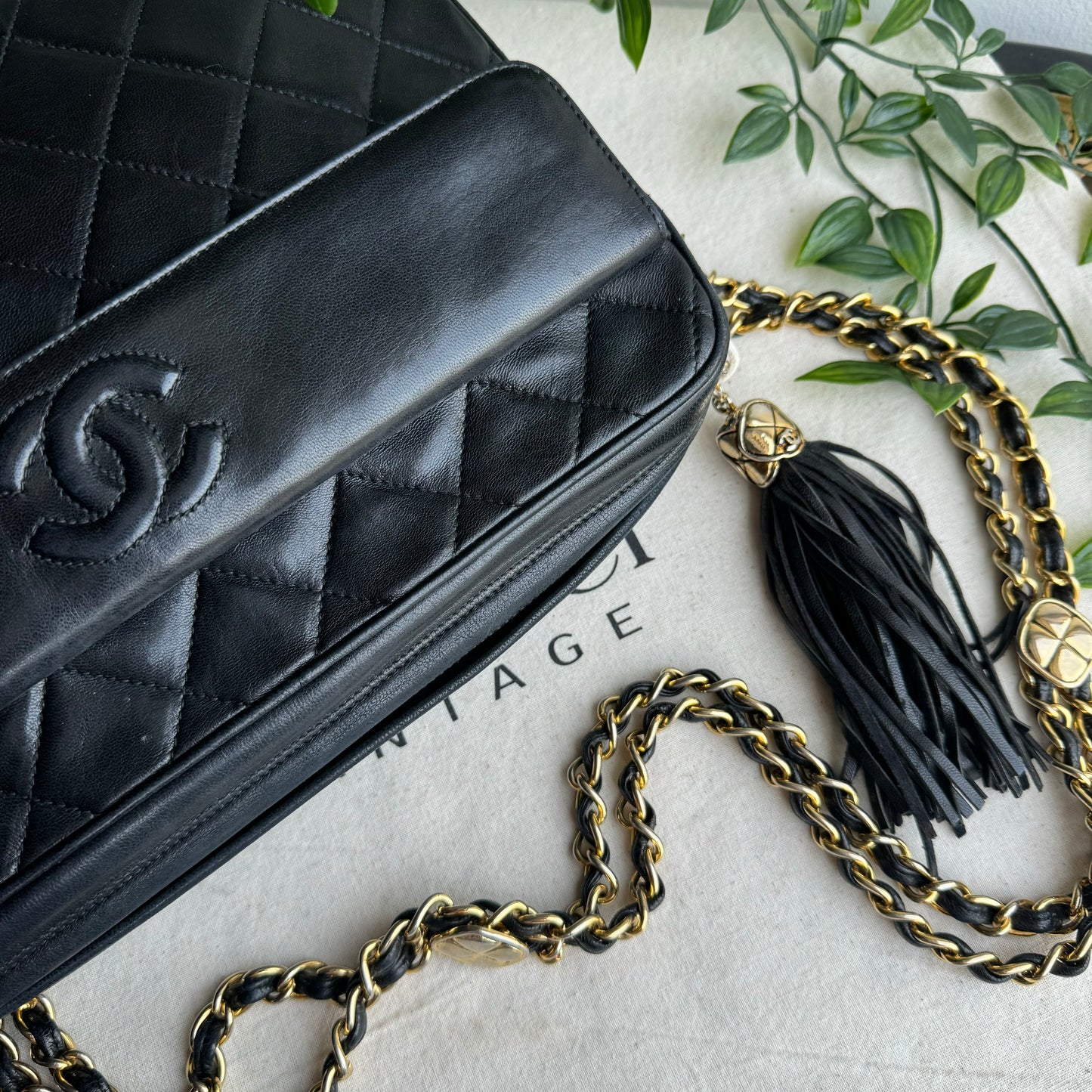 Chanel 1989 Double Chain Camera Bag Tote