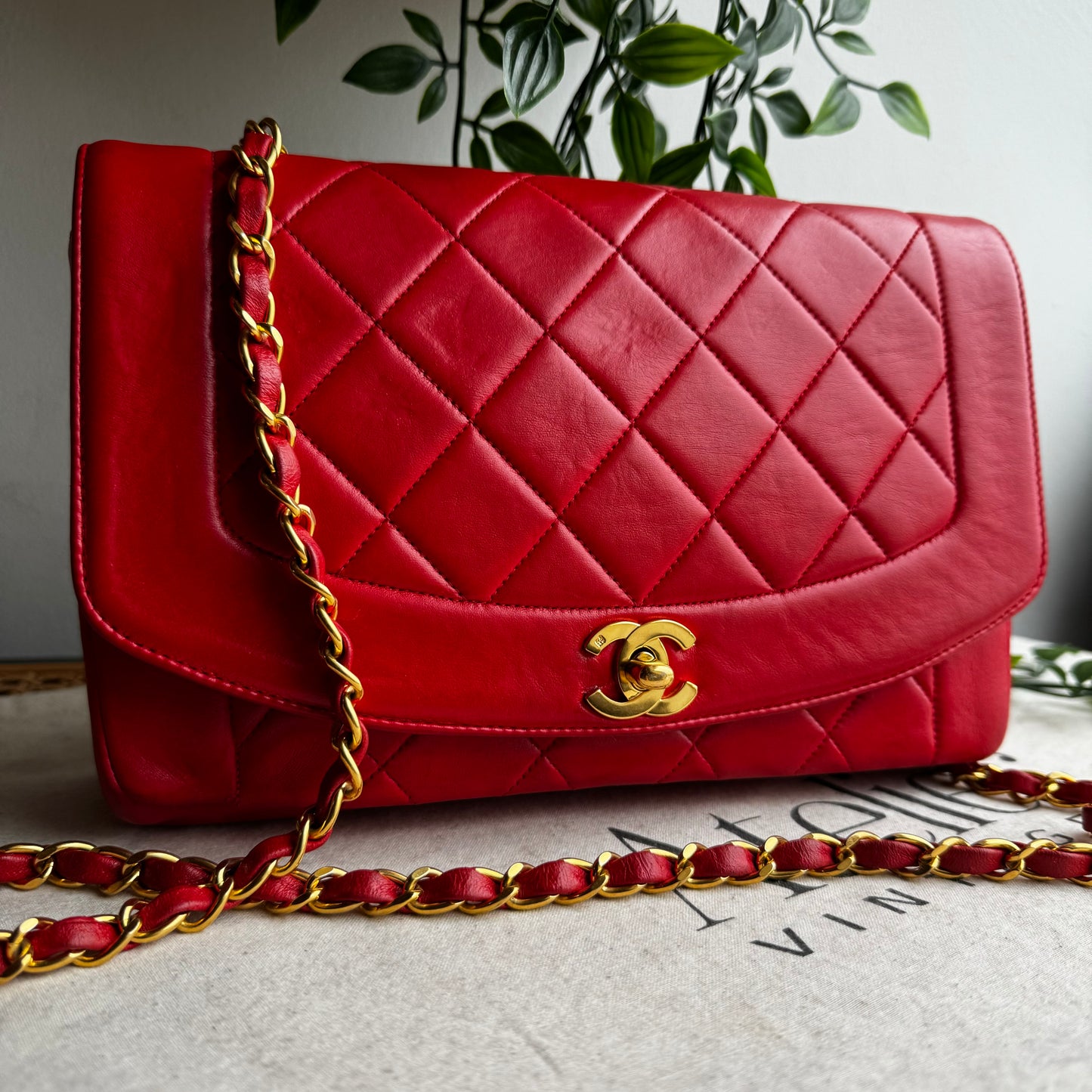 Chanel 1991 Vintage Classic Medium Diana