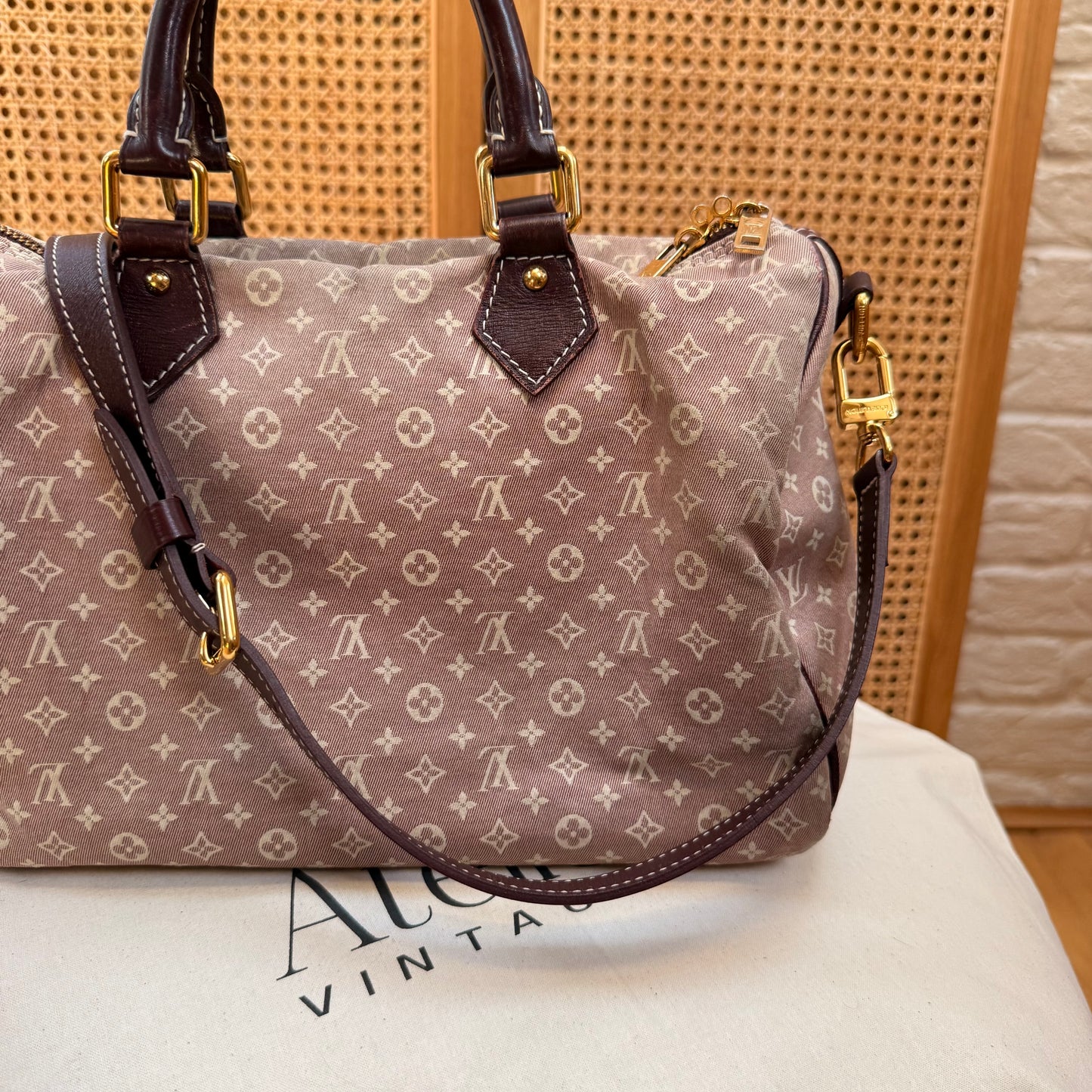 Louis Vuitton Rare 2010 Speedy 30 Bandoulier Idylle