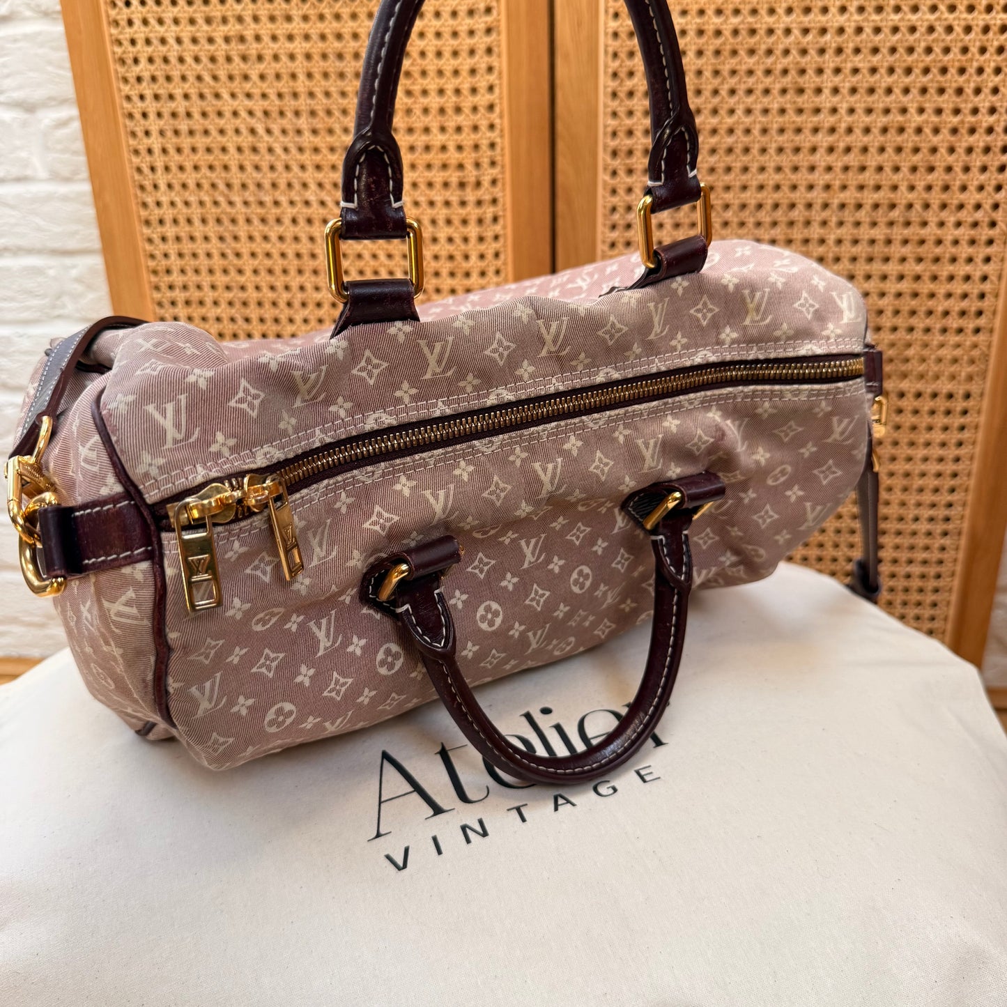 Louis Vuitton Rare 2010 Speedy 30 Bandoulier Idylle