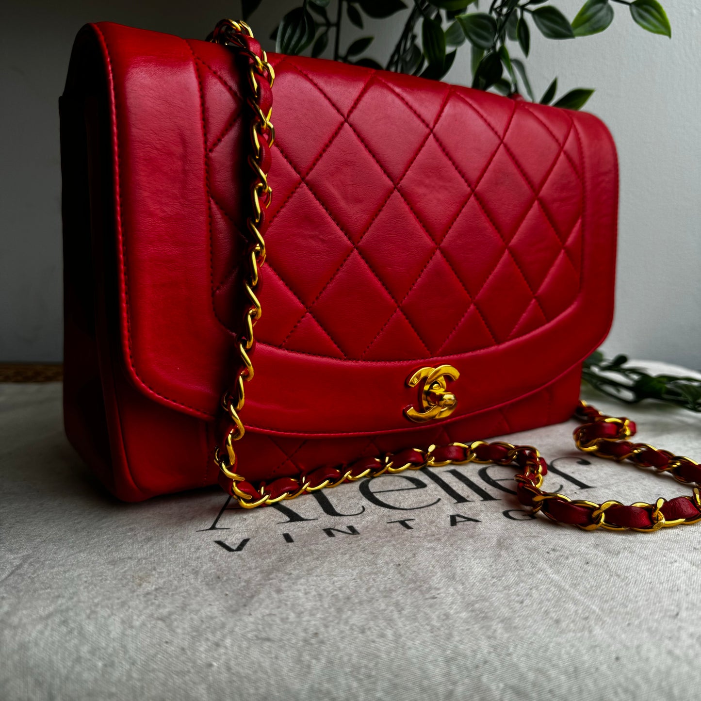 Chanel 1991 Vintage Classic Medium Diana