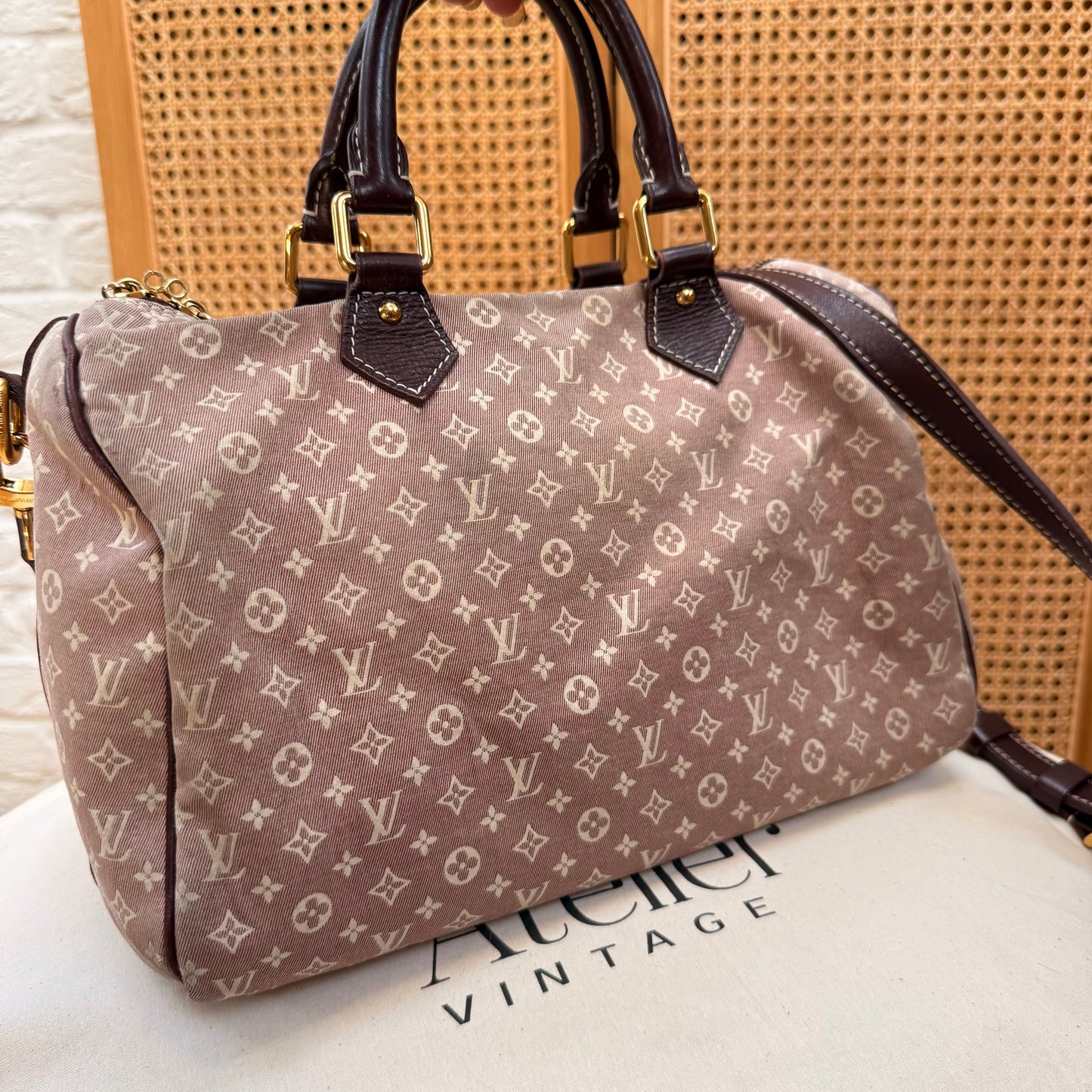 Louis Vuitton Rare 2010 Speedy 30 Bandoulier Idylle