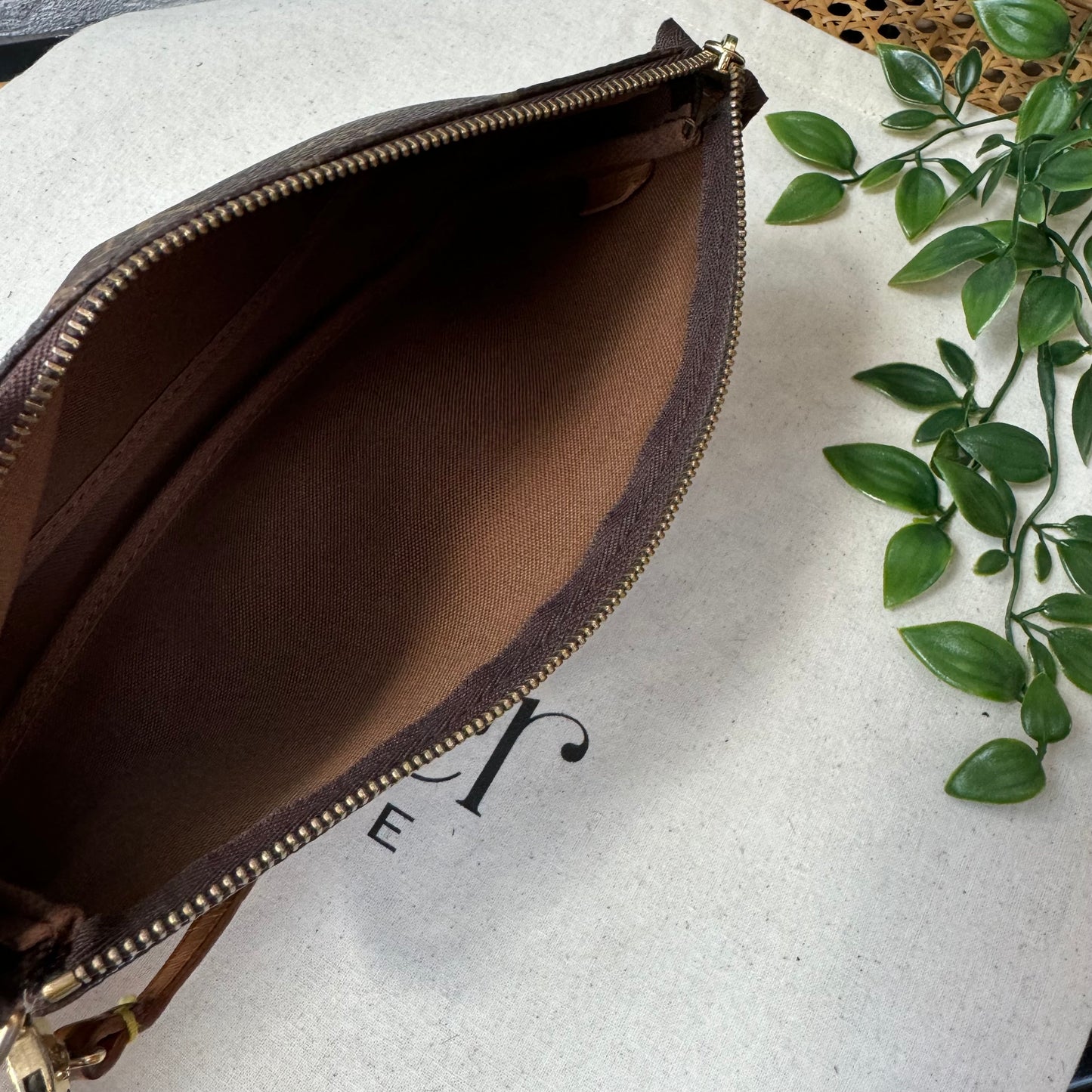 Louis Vuitton Pochette Accesssoires