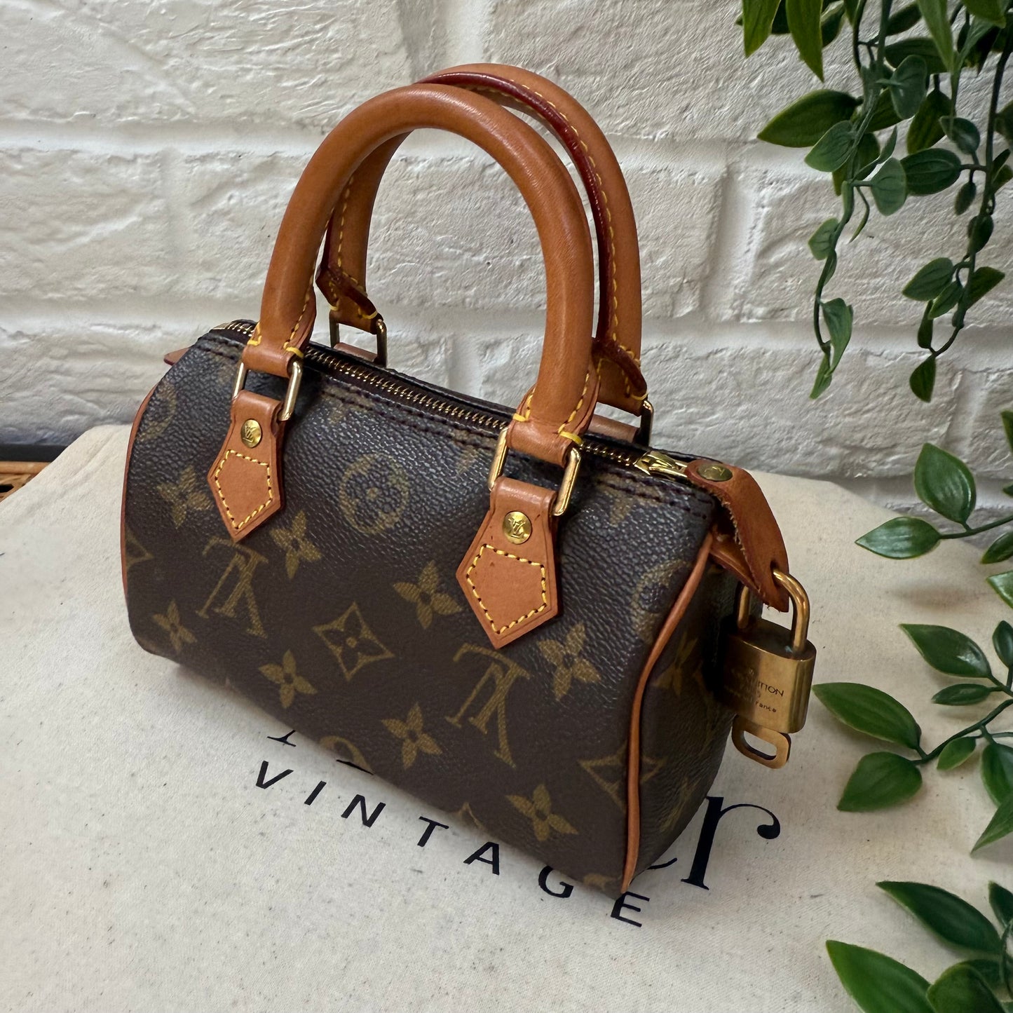 Louis Vuitton Speedy Nano with Strap & Padlock