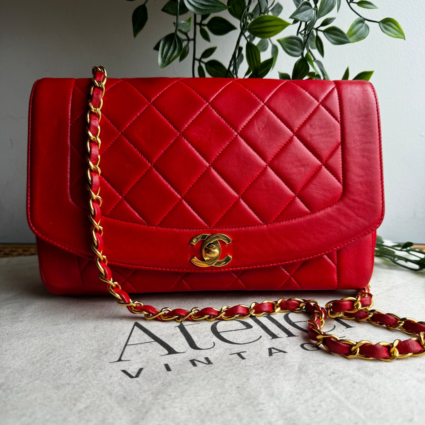 Chanel 1991 Vintage Classic Medium Diana
