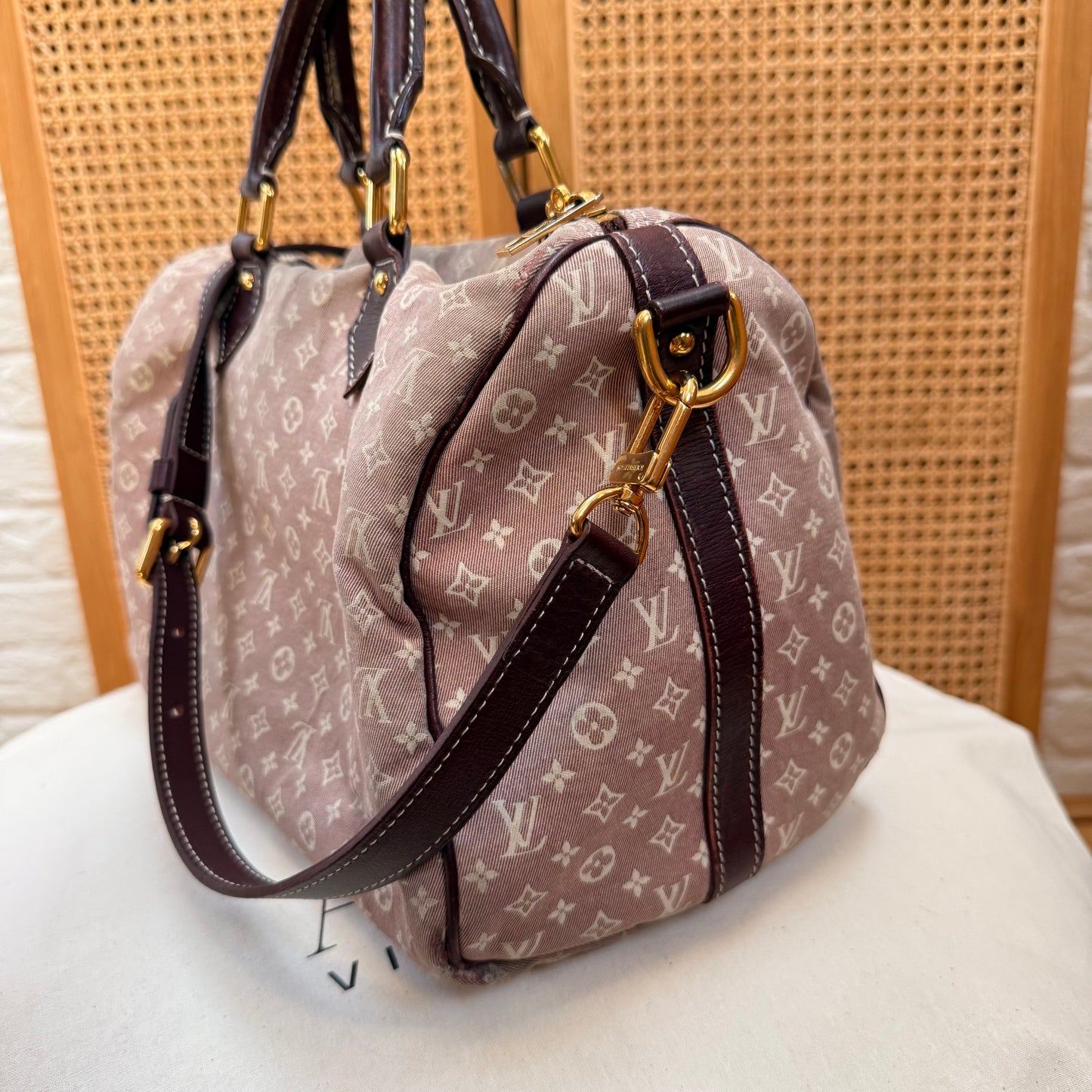 Louis Vuitton Rare 2010 Speedy 30 Bandoulier Idylle