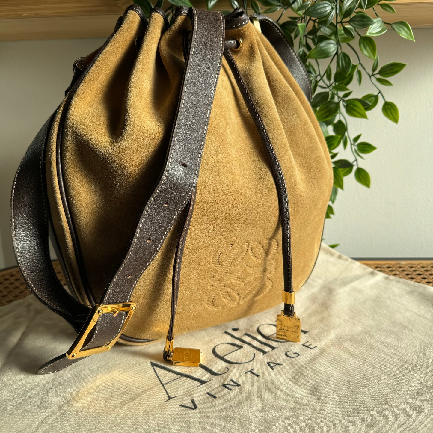 Loewe Cross Body Bucket Bag