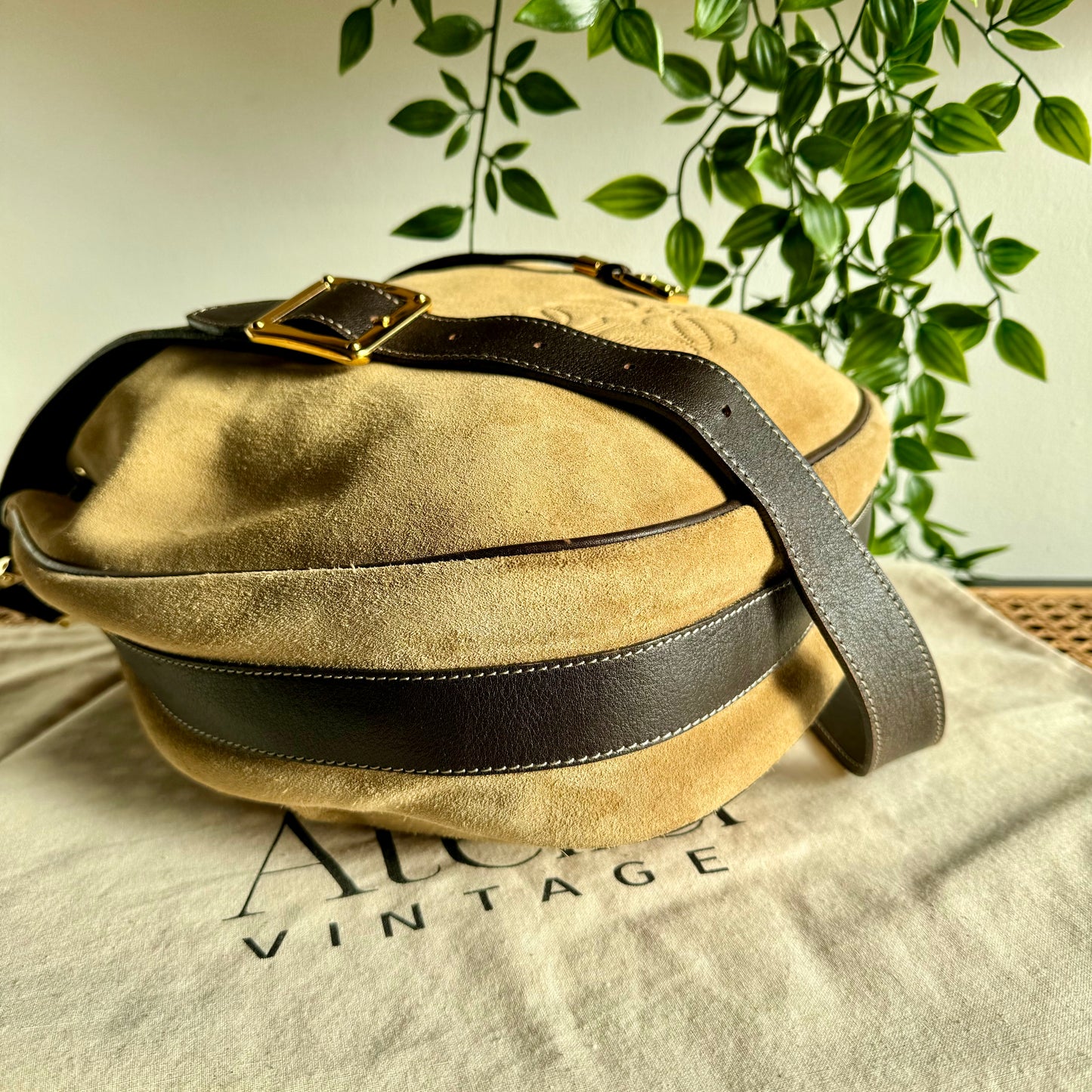 Loewe Cross Body Bucket Bag