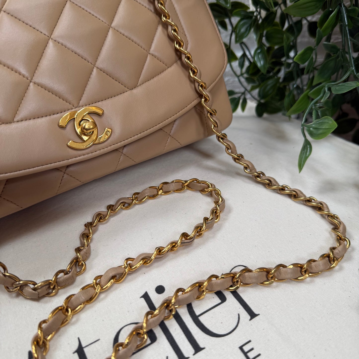 Chanel 1993 Rare Dark Beige Diana Medium
