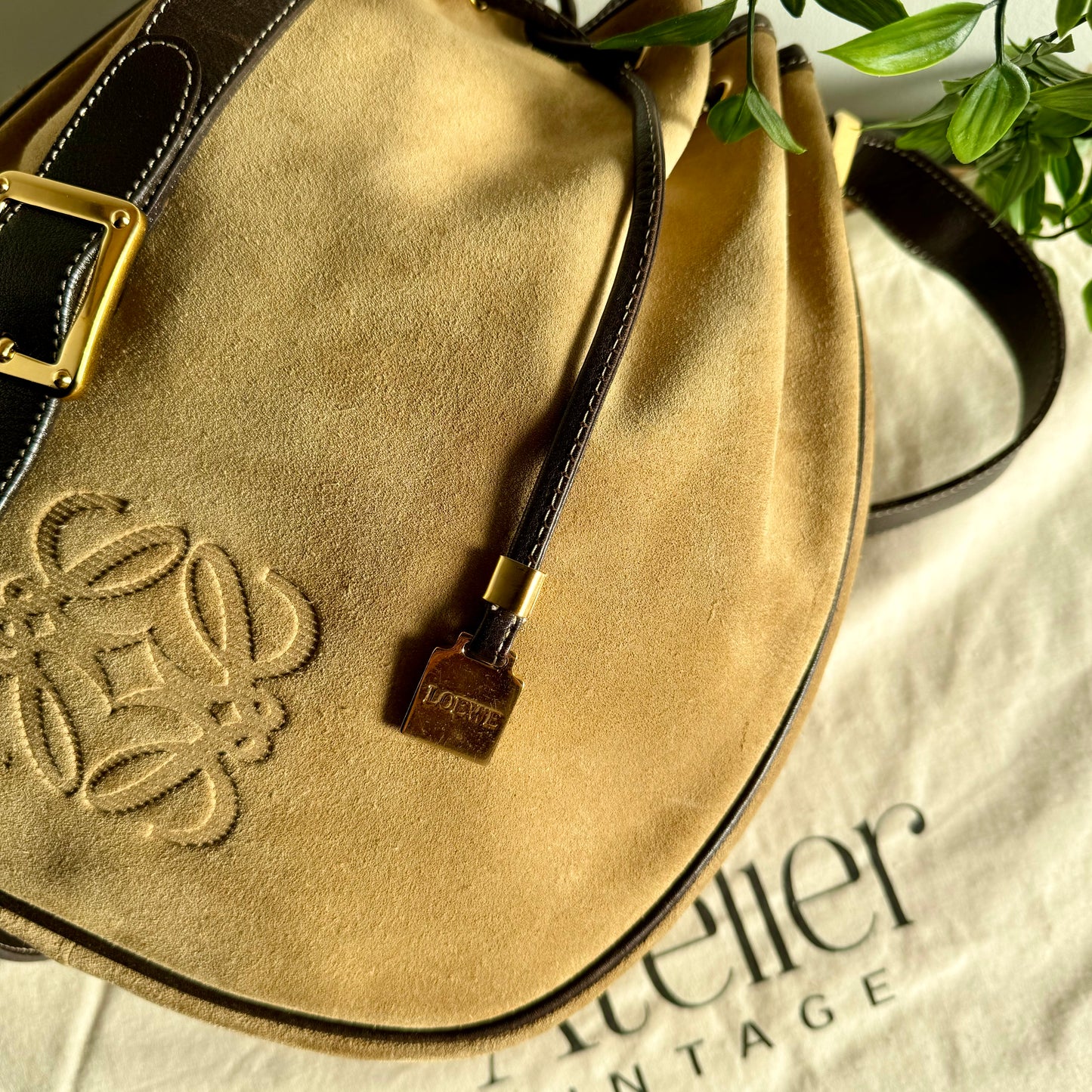 Loewe Cross Body Bucket Bag