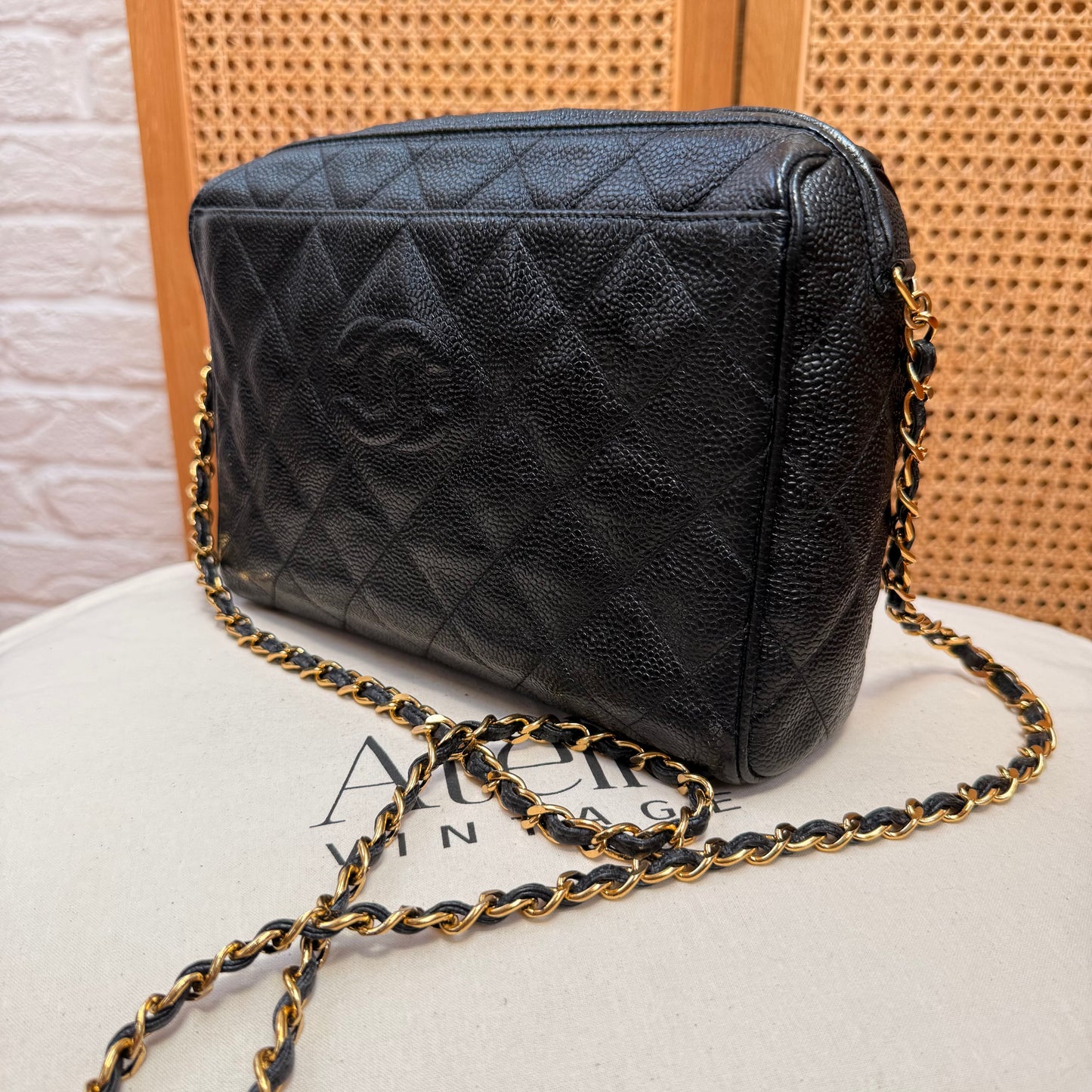 Chanel 1994 Rare Caviar Camera Bag with CC Charm
