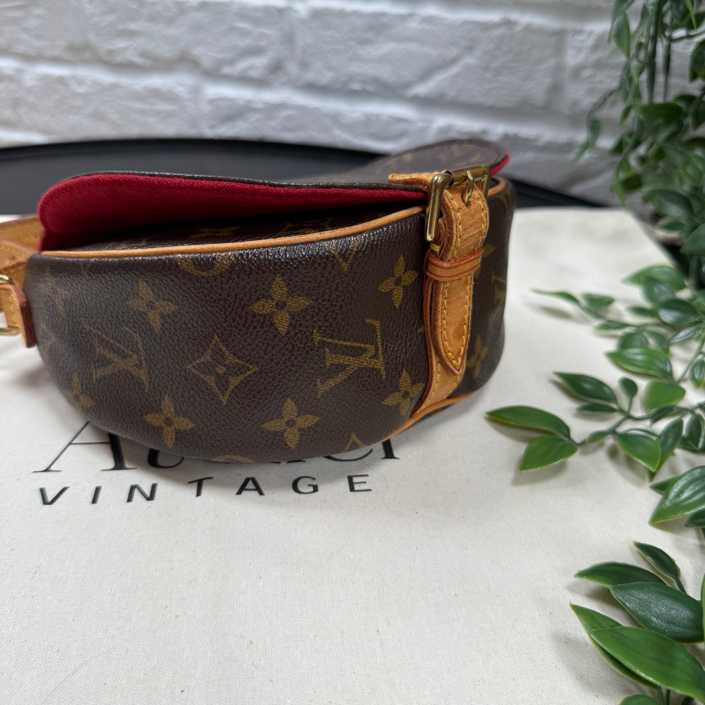 Louis Vuitton 2004 Louis Vuitton Tambourin cross body