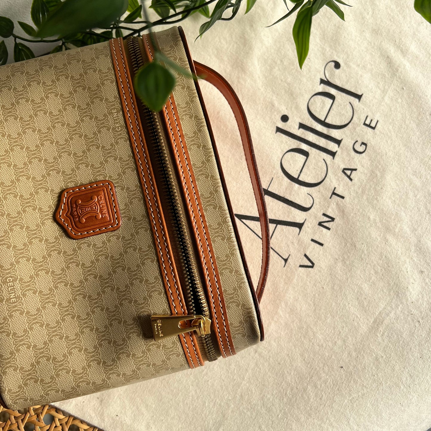 Celine Monogram Print Small Carry Case