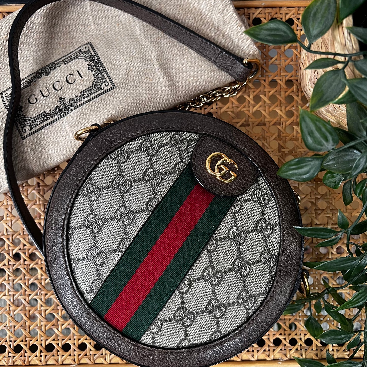Gucci Ophidia Mini Round